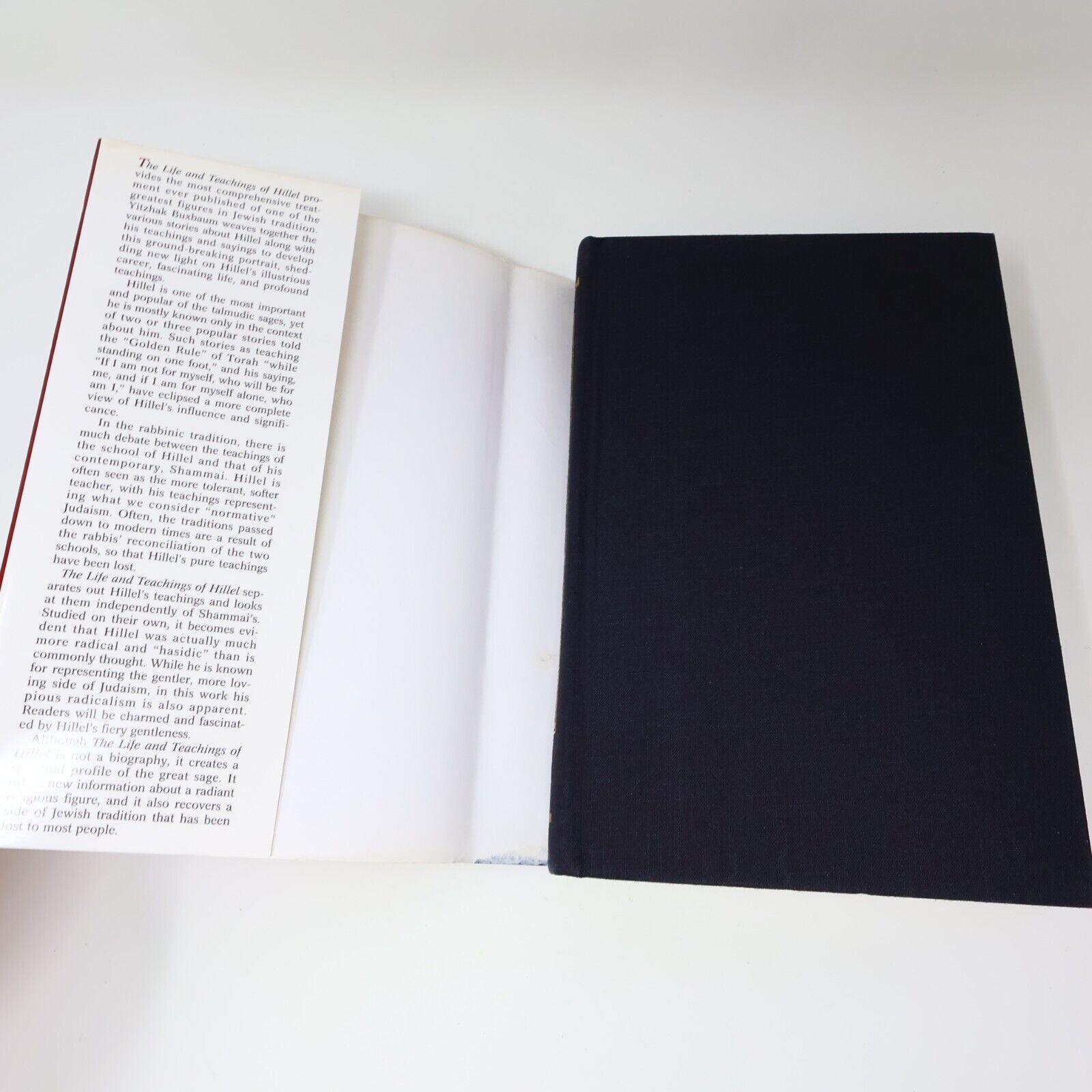1994 The Life and Teachings of Hillel Yitzhak Buxbaum 1st Print Hardcover HC 90s