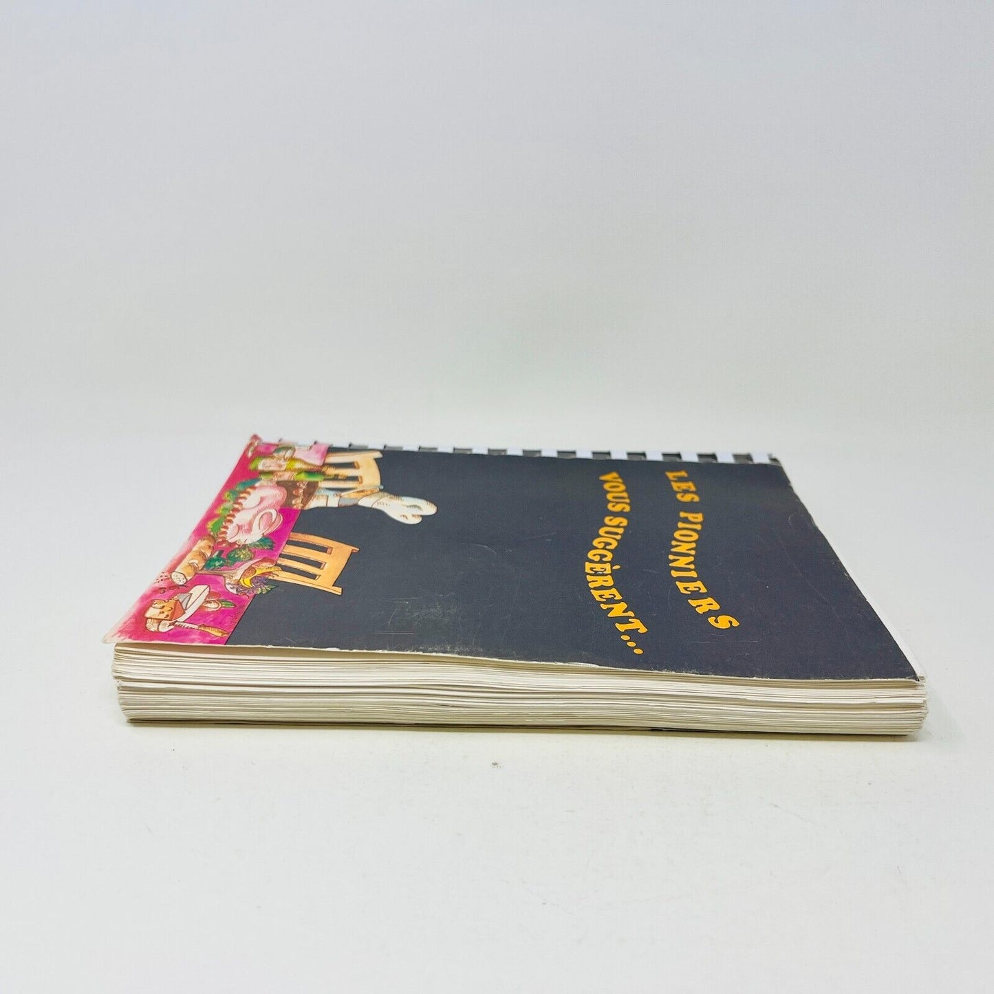 1982 Les Pionniers Vous Suggèrent Livre Recettes Cuisine Téléphone d'Amérique