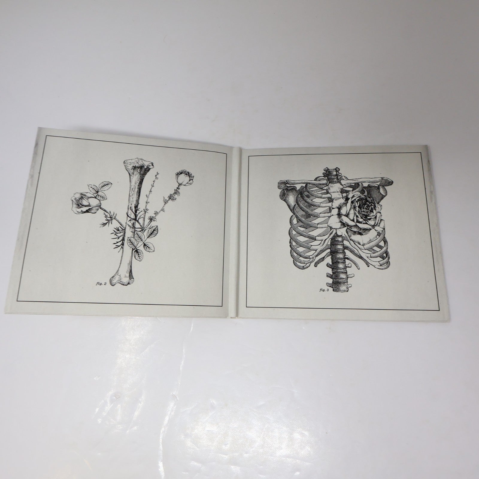 Cœur De Pirate Trauma CD Chansons de le Série Télé 2013 Dare To Care Records