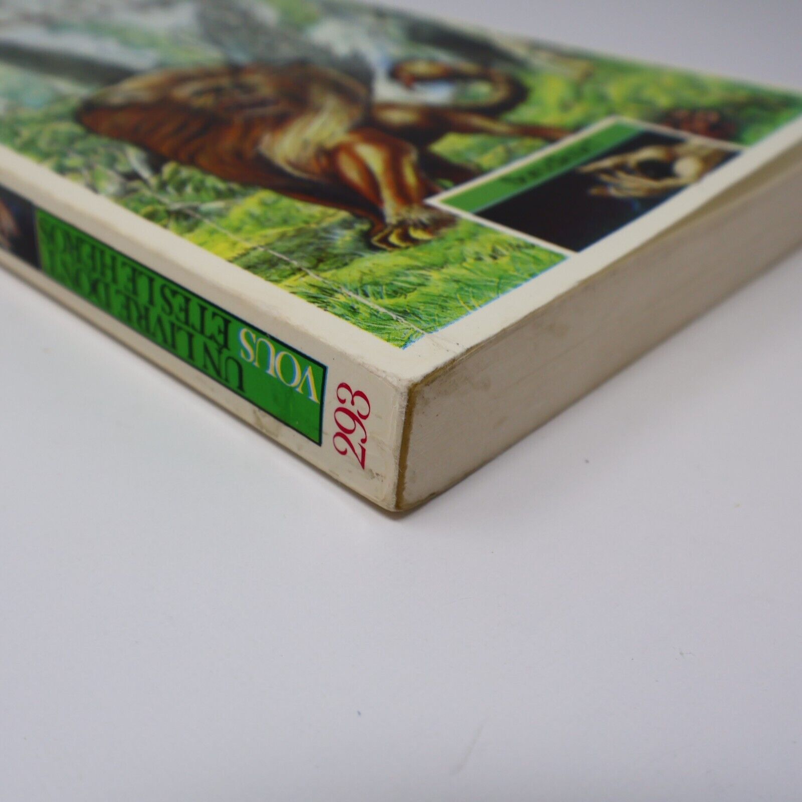 1985 les Collines Maléfiques Sorcellerie! #1 de Steve Jackson LDVELH Paperback