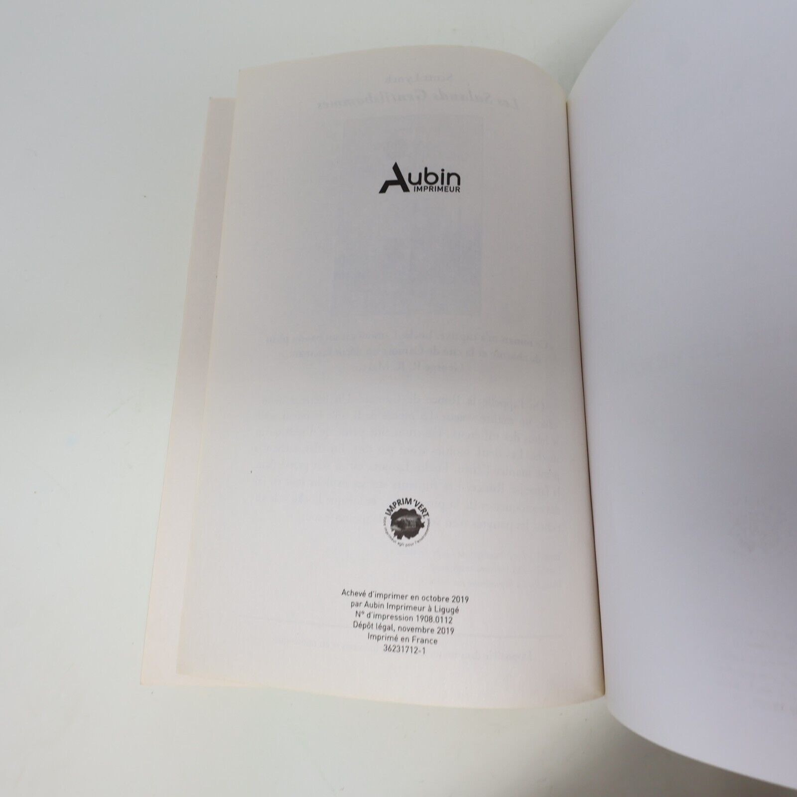Le Sorceleur #1 Le Dernier Voeu Andrzej Sapkowski The Witcher 2019 Bragelonne PB