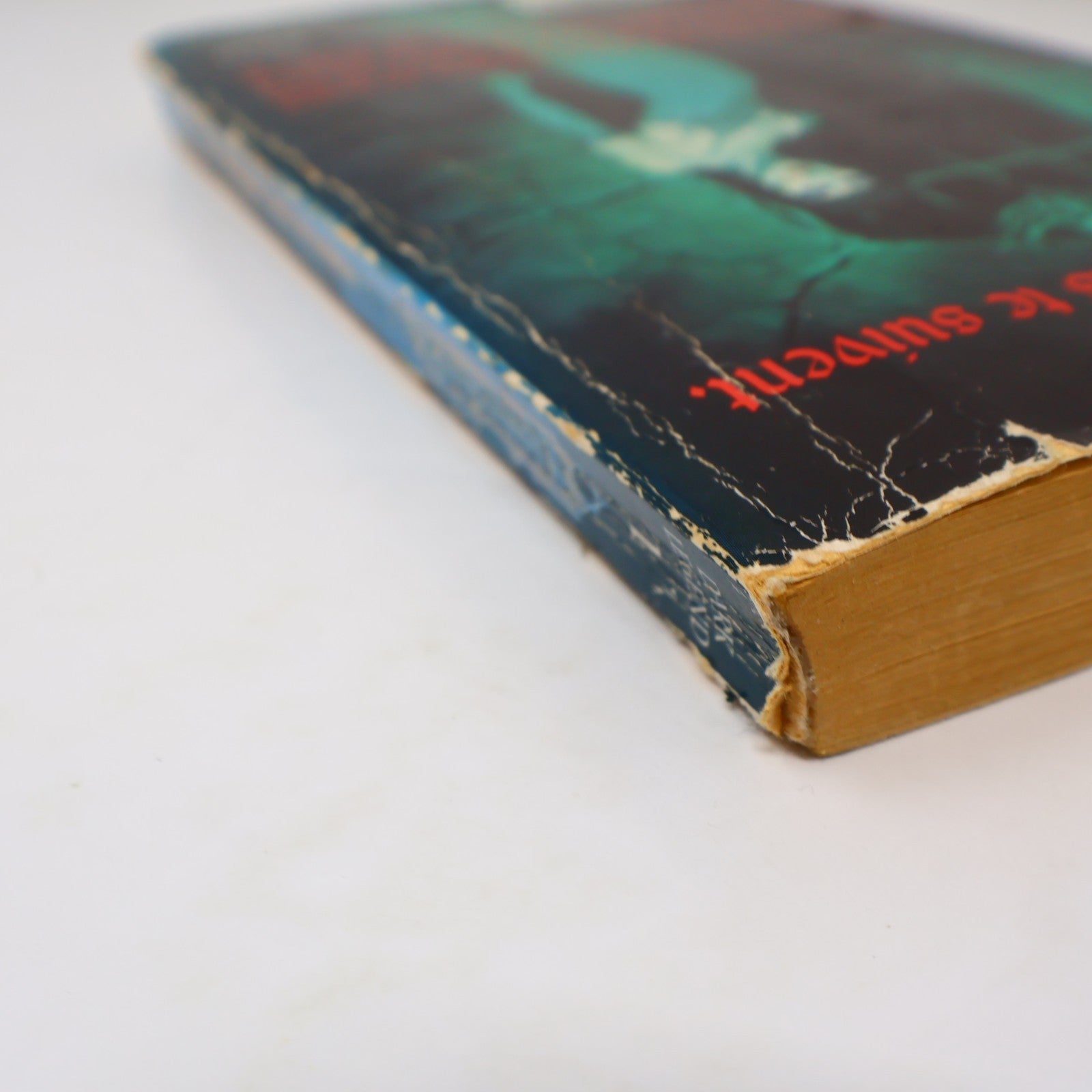 Le Vampire des Brumes Christie Golden Ravenloft #1 Fleuve Noir 1995 PB Français