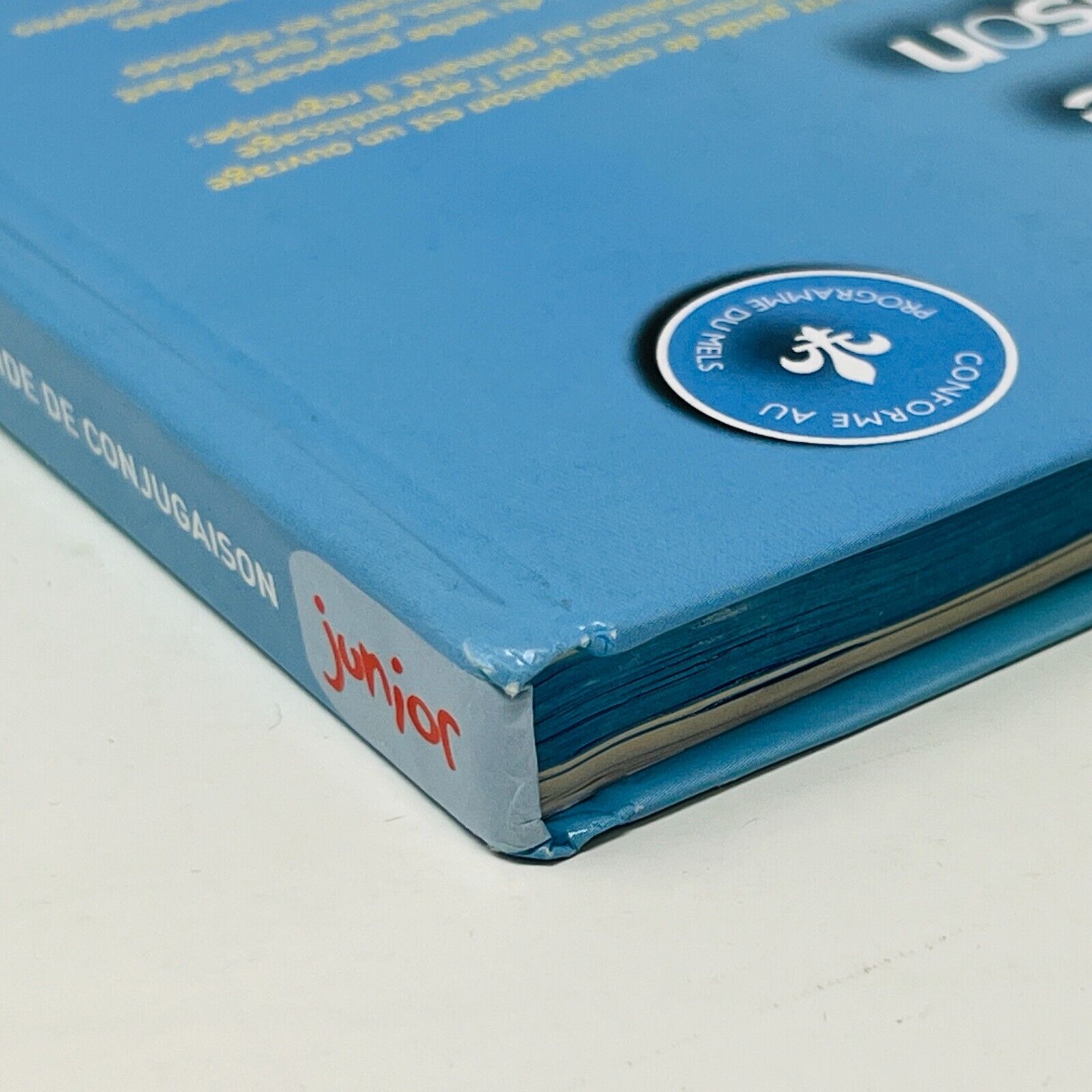 Bescherelle Petit Guide De Conjugaison Junior Livre Hurtubise Grammaire Verbes
