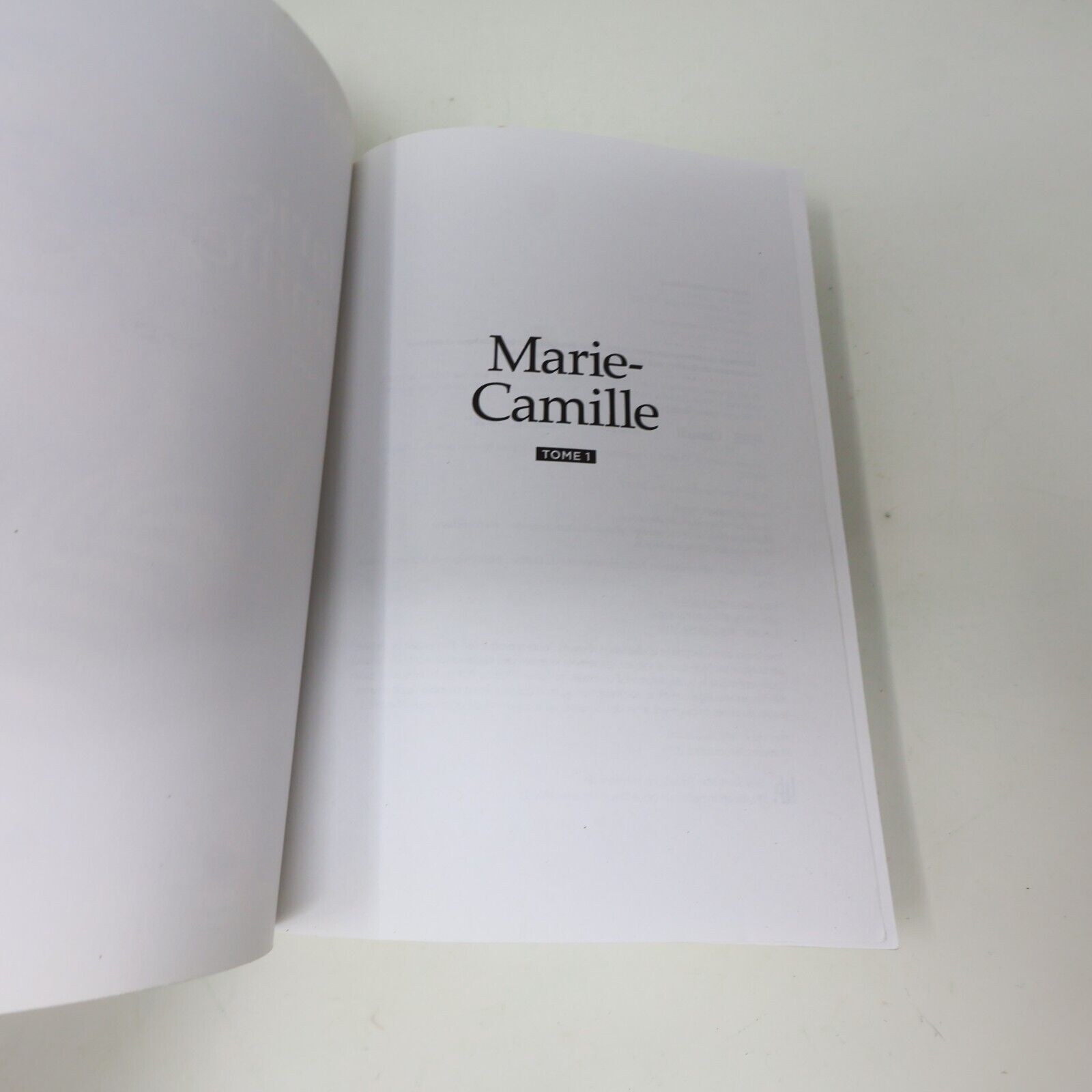2019 Marie-Camille Tome 1 France Lorrain Roman Historique Québec Guy Saint-Jean