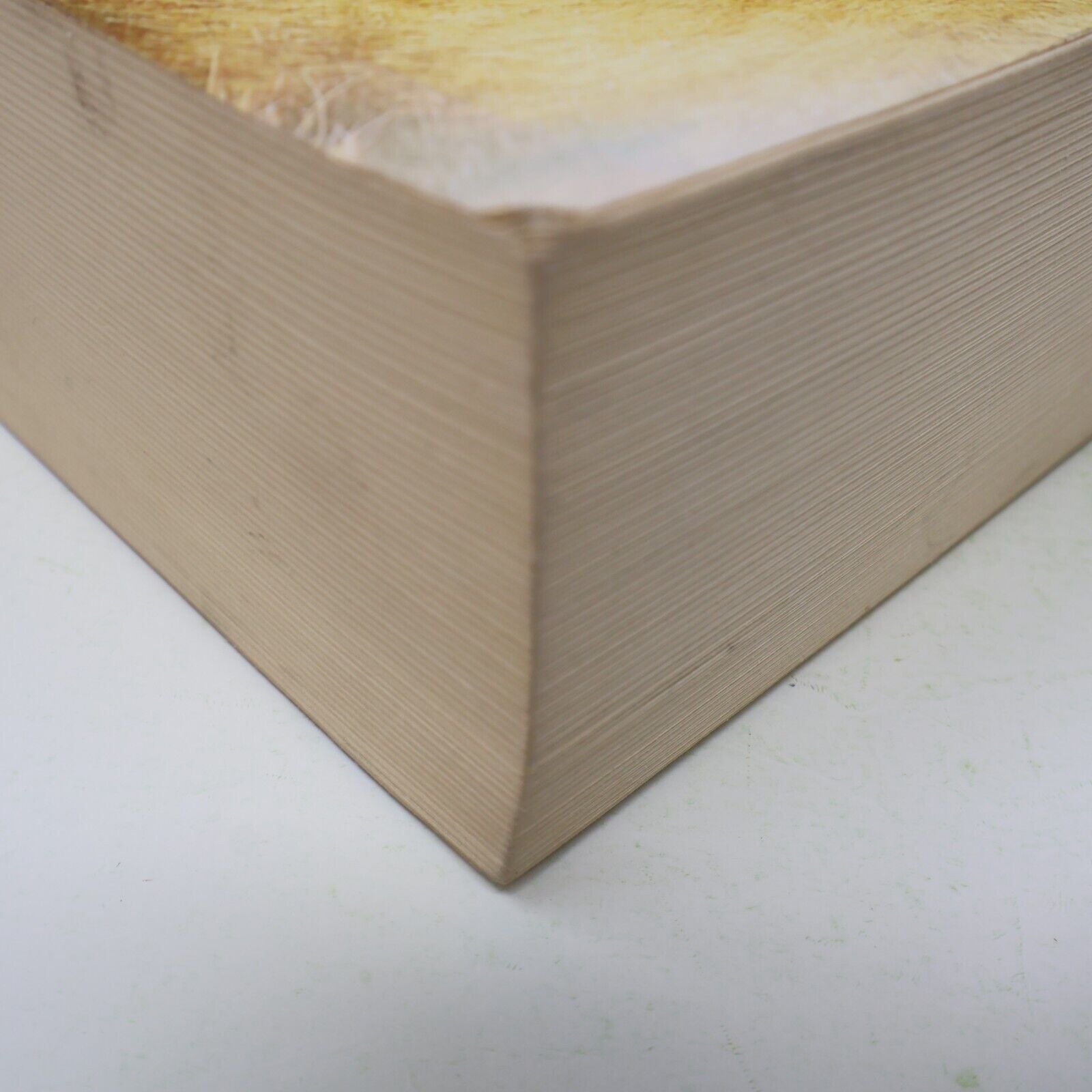 2010 Le Monde de Narnia C. S. Lewis Omnibus Fantasy Illustré Gallimard Français