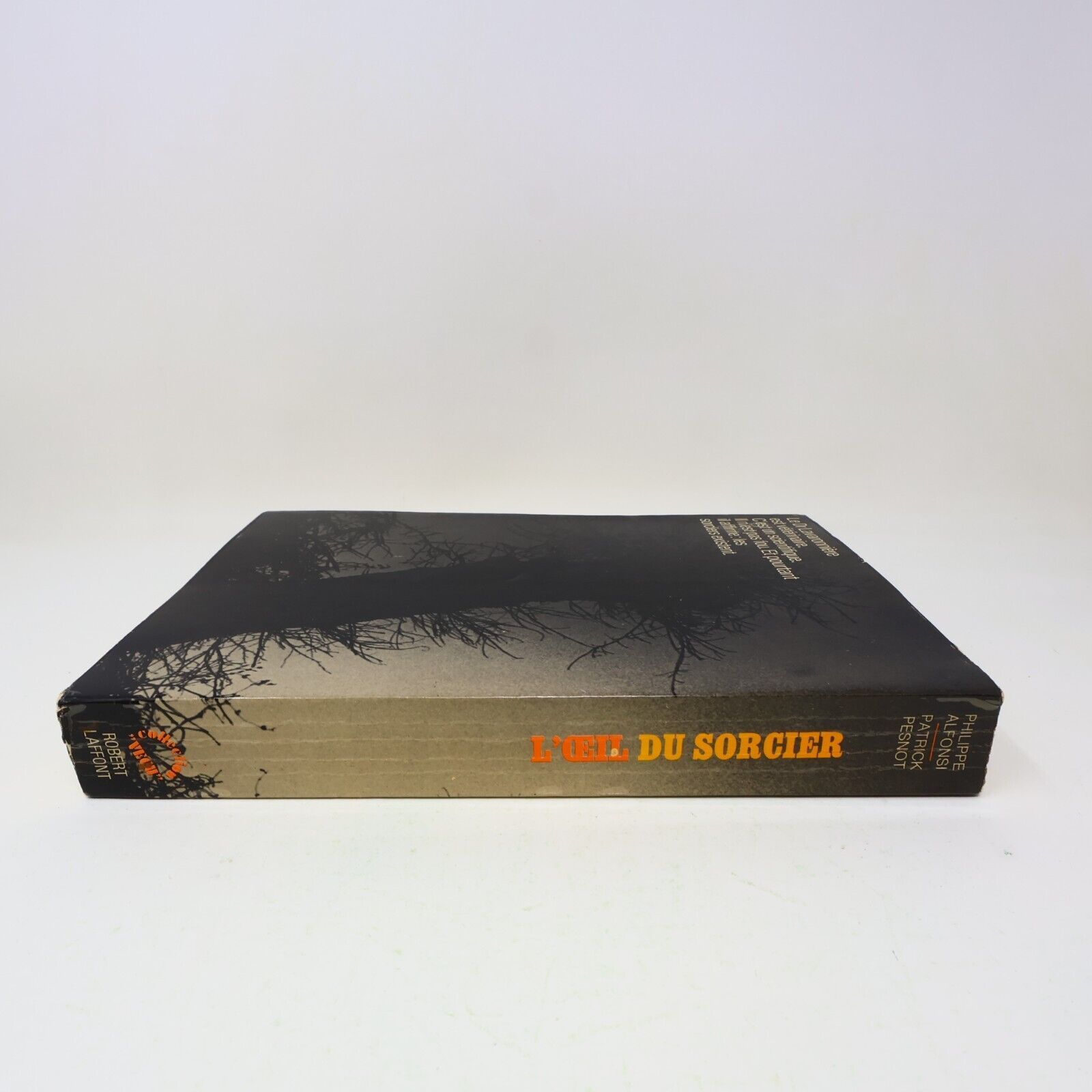 1973 L'Oeil du Sorcier Philippe Alfonsi Patrick Pesnot Ésotérisme Robert Laffont