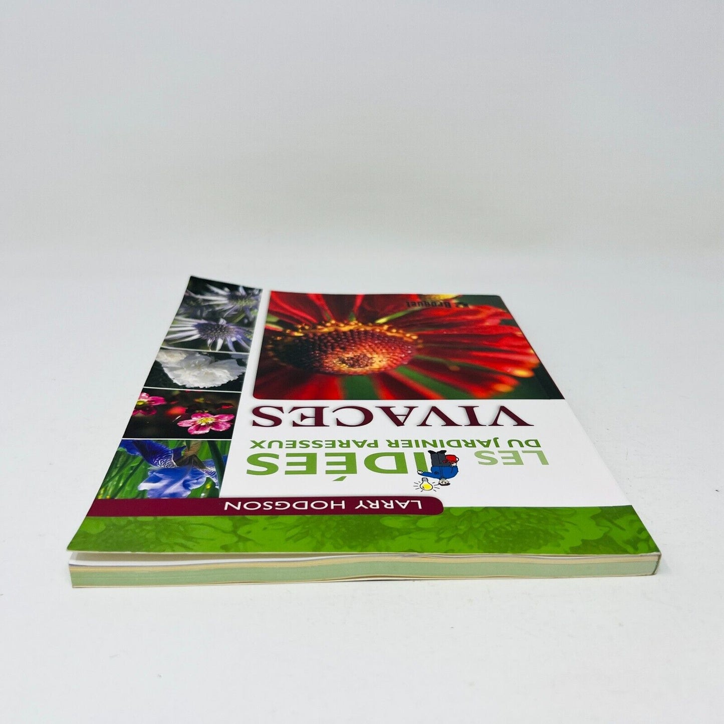 2007 Vivaces Les Idées du Jardinier Paresseux de Larry Hodgson Livre Broquet