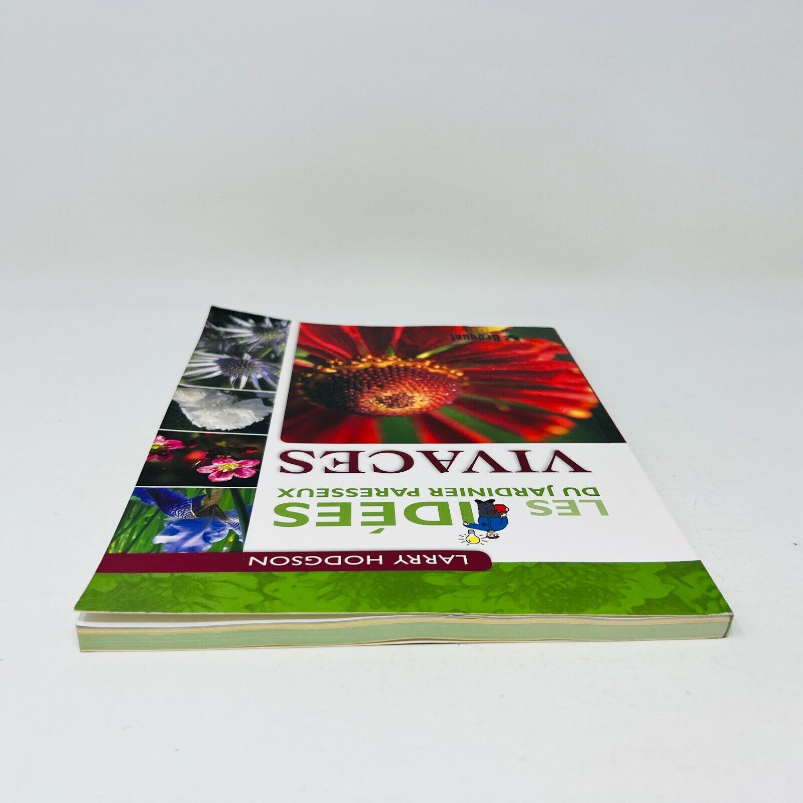 2007 Vivaces Les Idées du Jardinier Paresseux de Larry Hodgson Livre Broquet