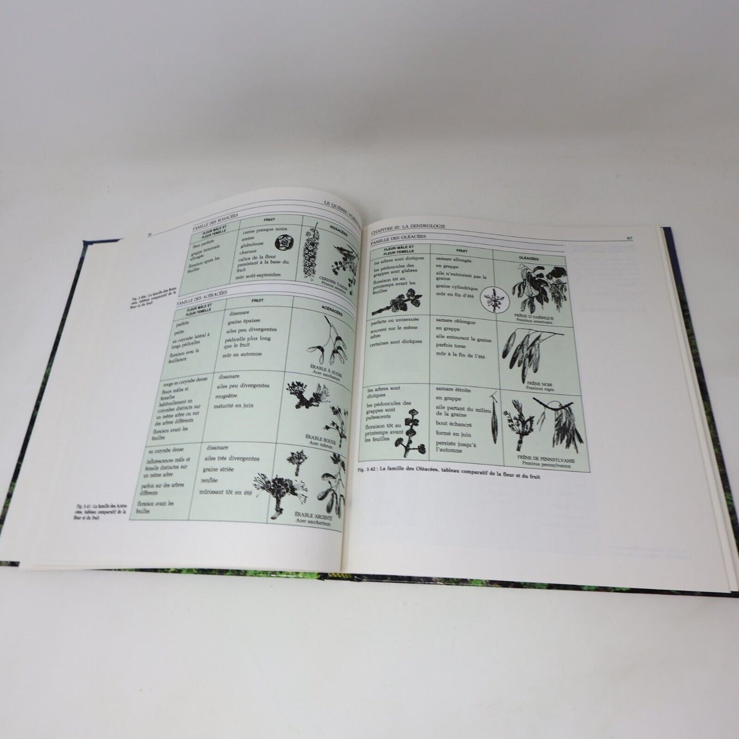 1991 Le Québec Forestier Lagacé/Allen Hardcover HC Broquet Nature Faune Flore
