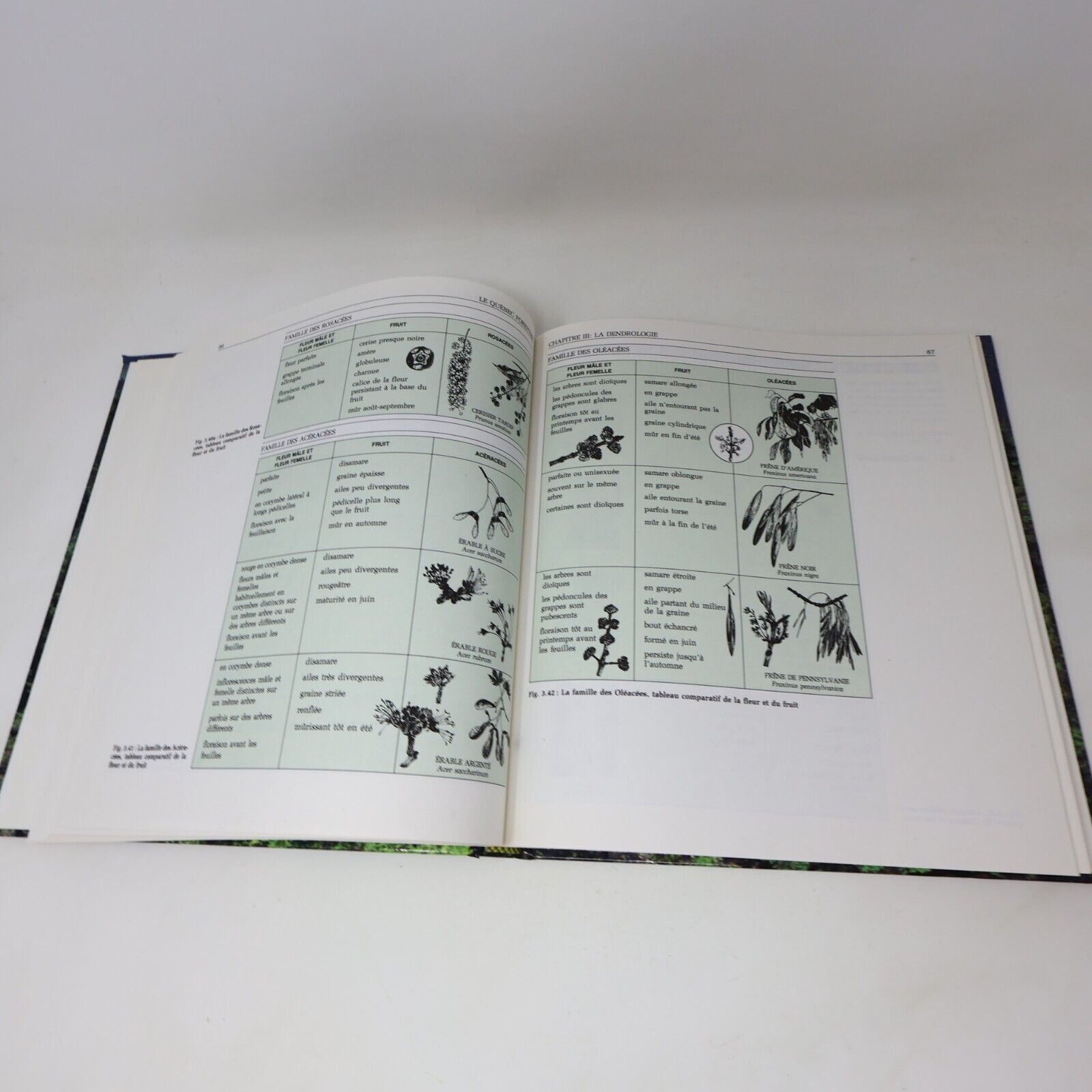 1991 Le Québec Forestier Lagacé/Allen Hardcover HC Broquet Nature Faune Flore