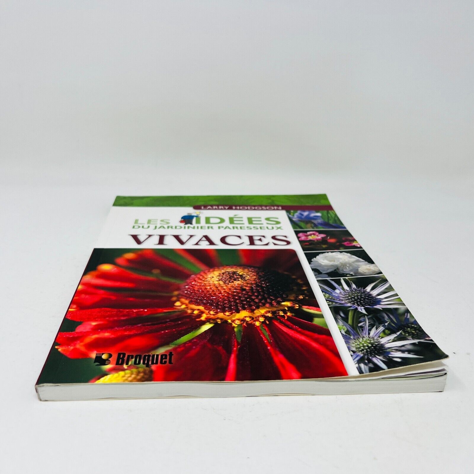 2007 Vivaces Les Idées du Jardinier Paresseux de Larry Hodgson Livre Broquet