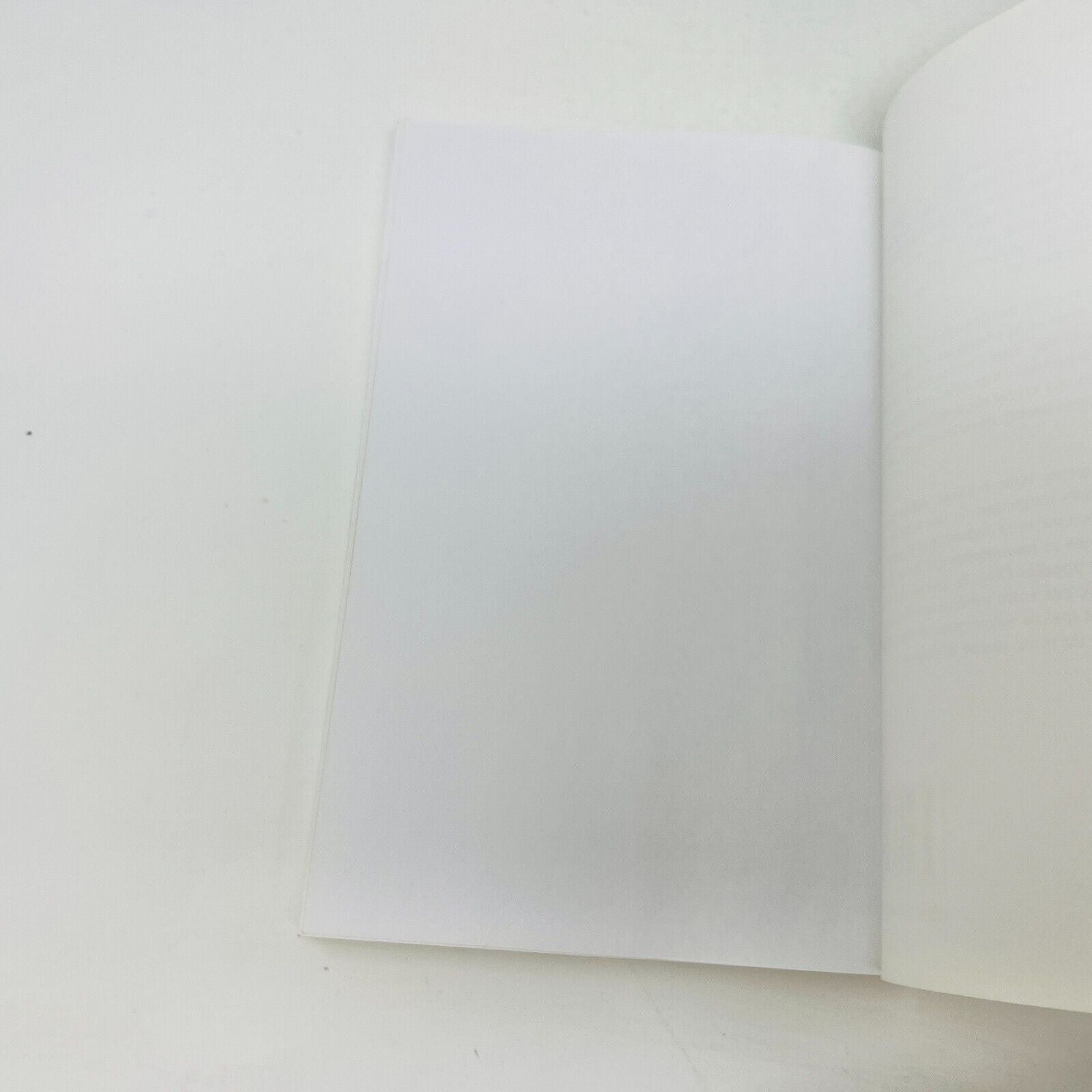 2003 Ramtha Le Livre Blanc Ada en Français/French Supernaturalisme Mysticisme
