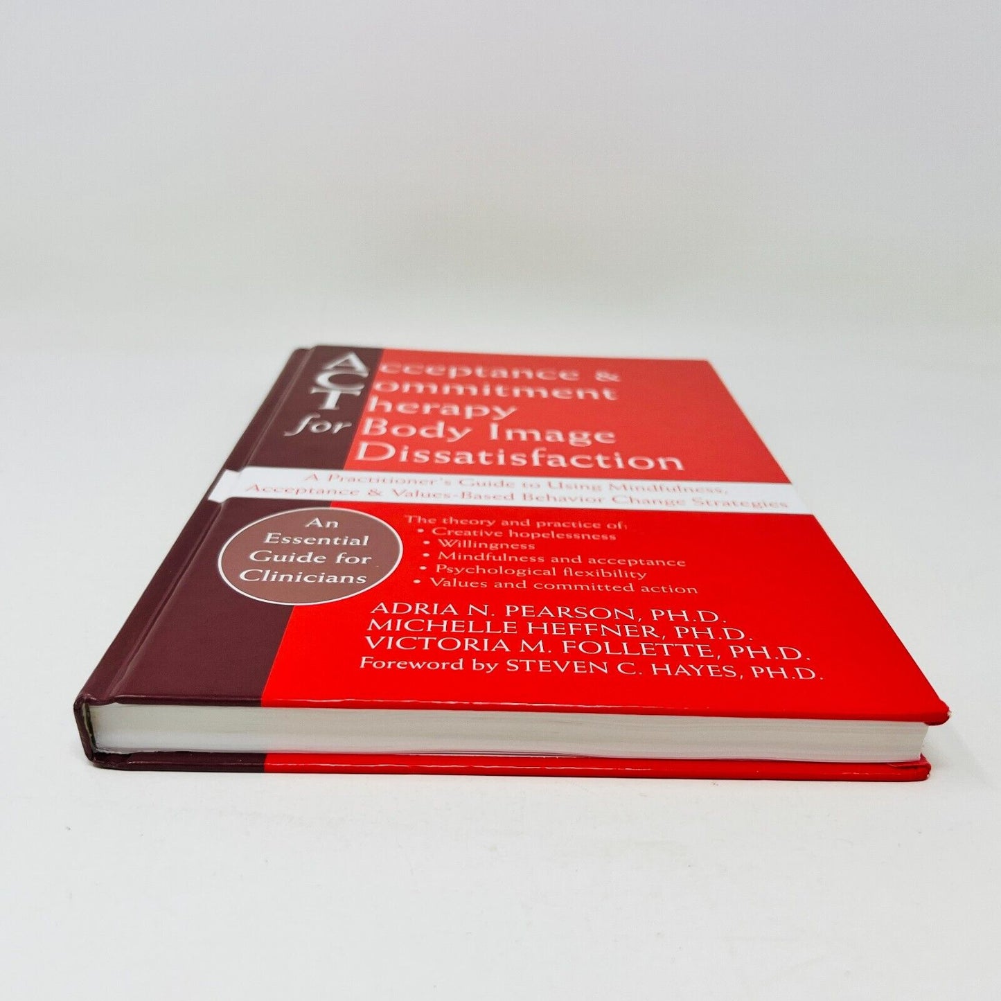 2010 Acceptance and Commitment Therapy for Body Image Dissatisfaction Hardcover