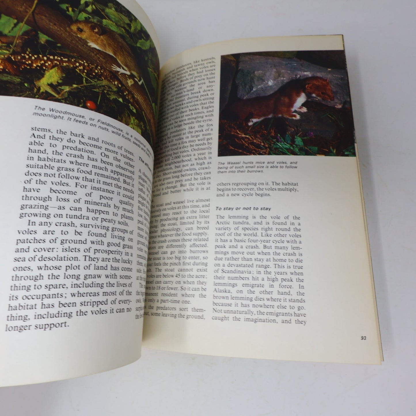 1969 Nature's Way David Stephen James Lockie Collins Animals 1st Edition Book HC