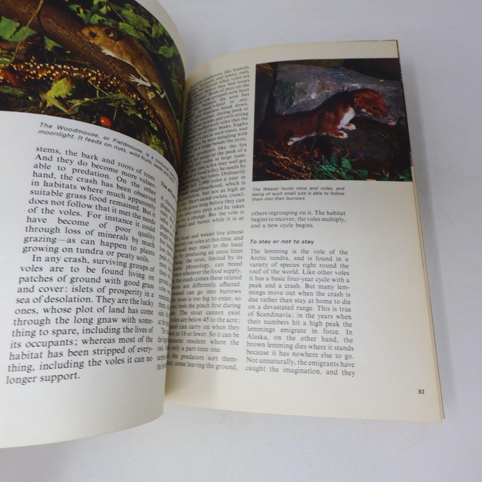 1969 Nature's Way David Stephen James Lockie Collins Animals 1st Edition Book HC