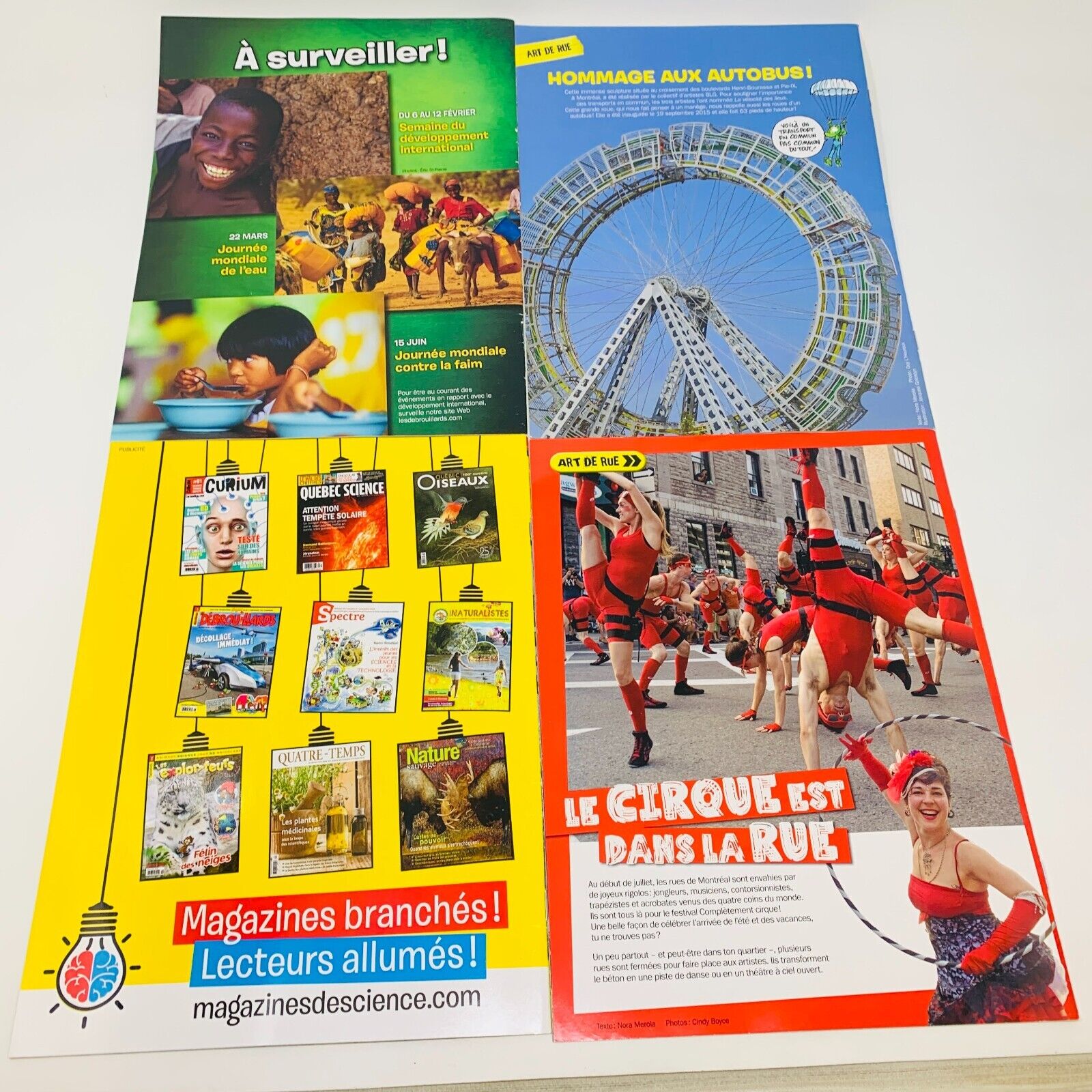 Lot de 9 Magazines Les DébrouillArts & Terre des Débrouillards Enfants Français