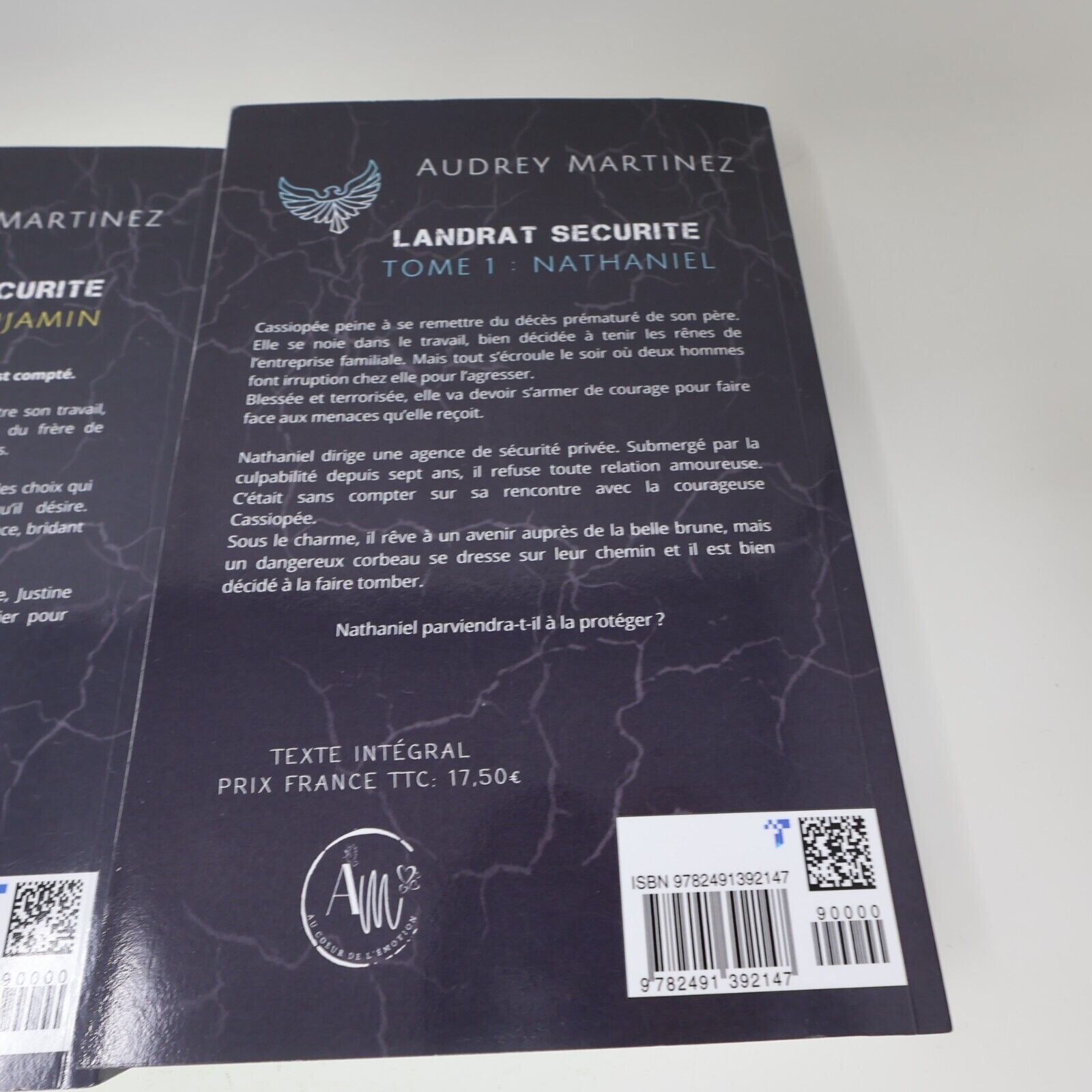 Lot 7 Audrey Martinez Soldats d'Élite Landrat Sécurité Livres Français French PB