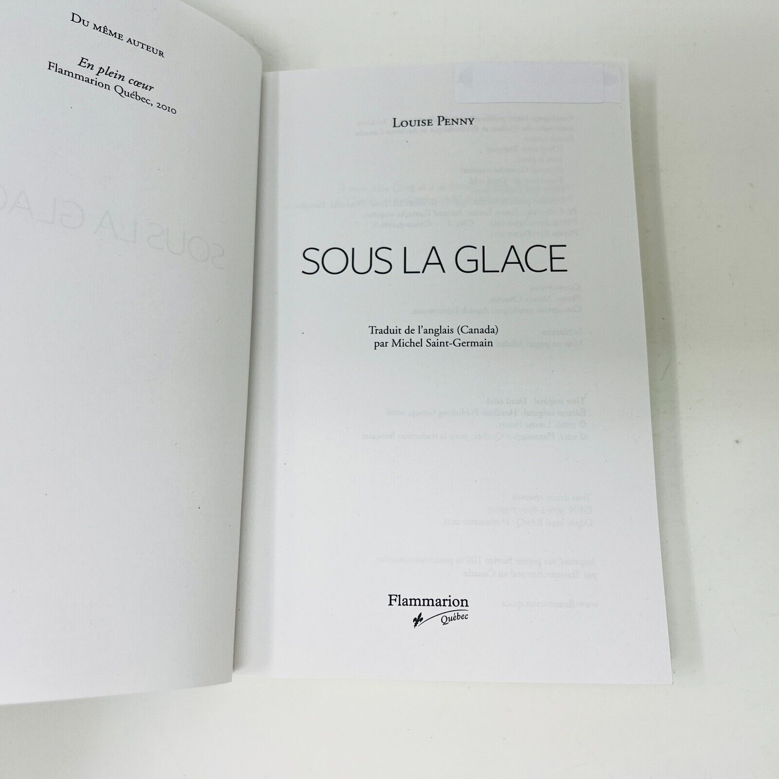 2011 Sous la glace de Louise Penny Armand Gamache Enquête Flammarion en Français