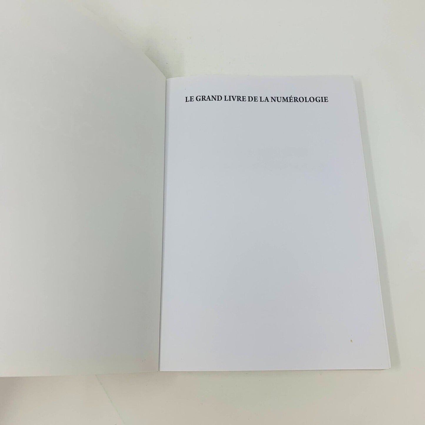 2013 Le Grand Livre de la Numérologie De Vecchi François Notter Numérologue