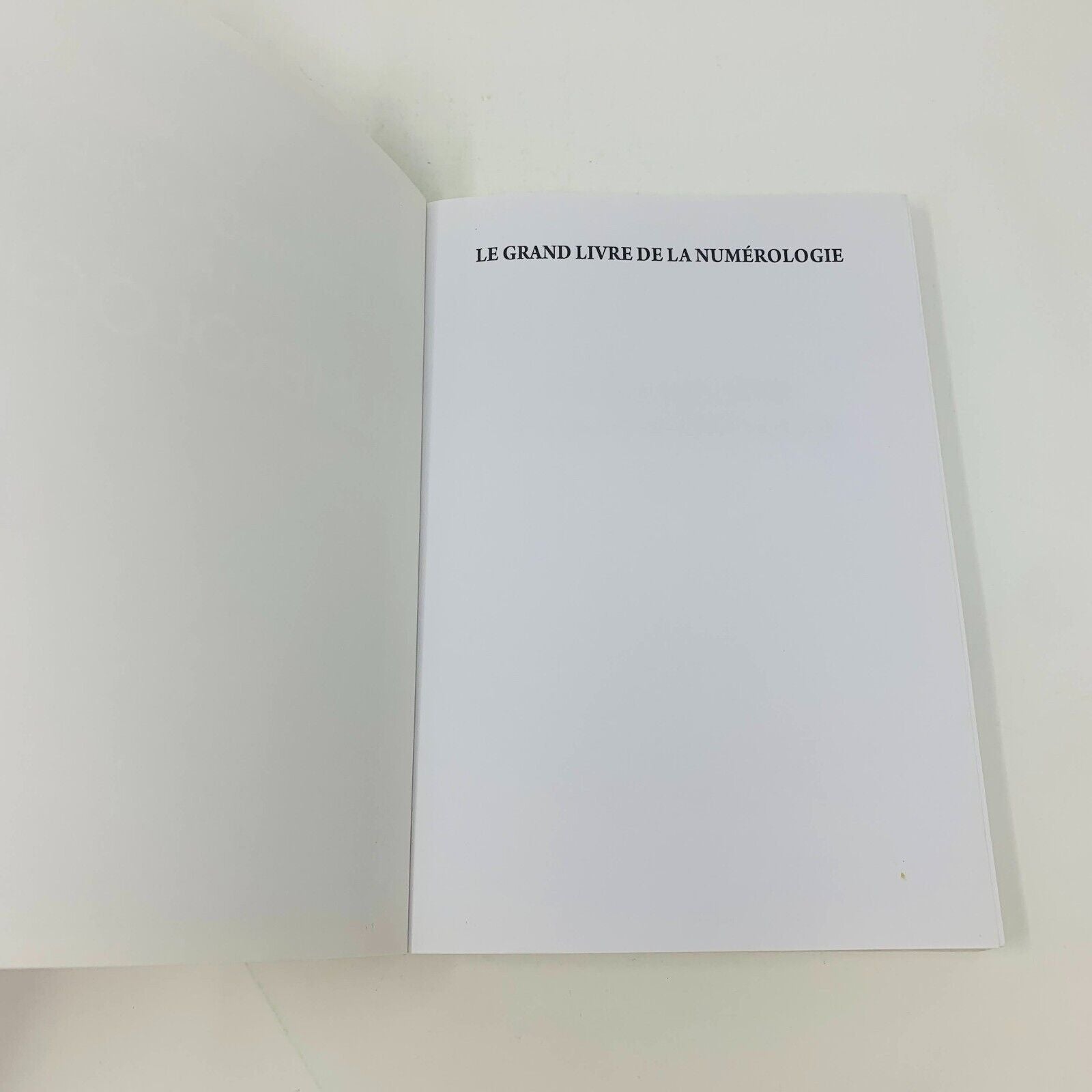 2013 Le Grand Livre de la Numérologie De Vecchi François Notter Numérologue