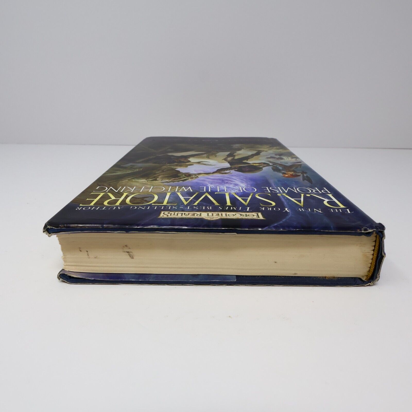 2005 The Sellswords #1 Promise of the Witch-King Forgotten Realms Fantasy WOC HC
