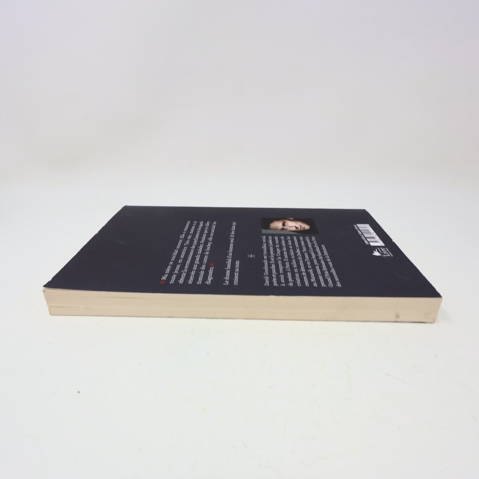 2015 La Bête à sa Mère David Goudreault Stanké Français Paperback Roman Québec
