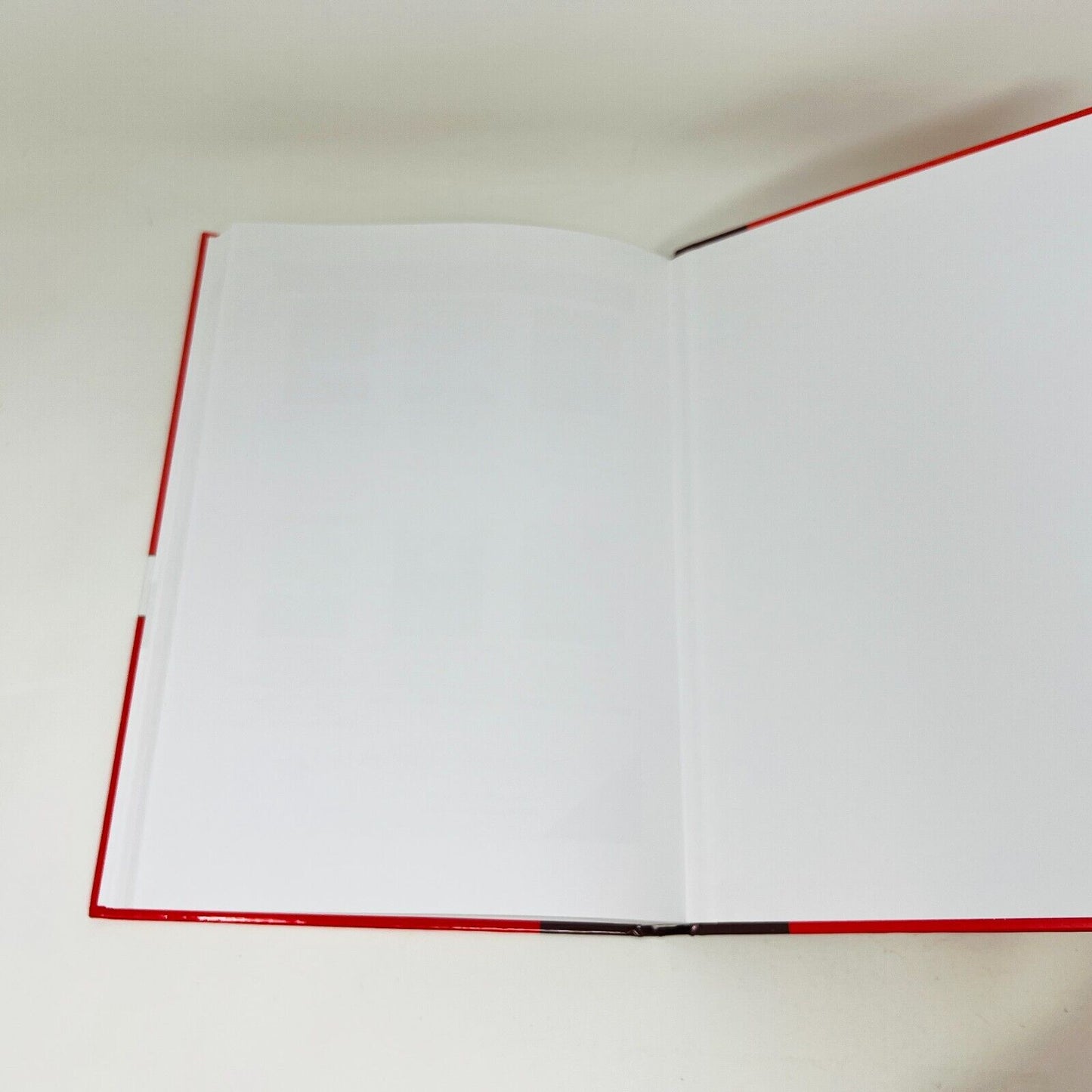 2010 Acceptance and Commitment Therapy for Body Image Dissatisfaction Hardcover