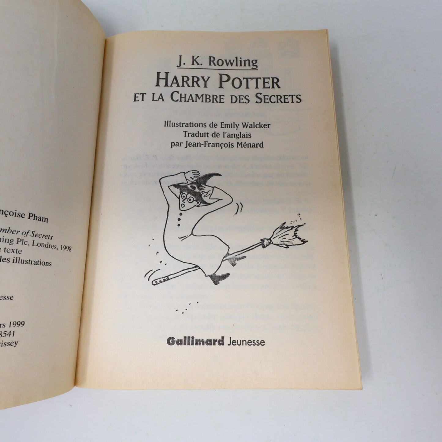 Lot 2 livres illustrés Harry Potter #1-2 Folio Junior 1st Ed Français/French