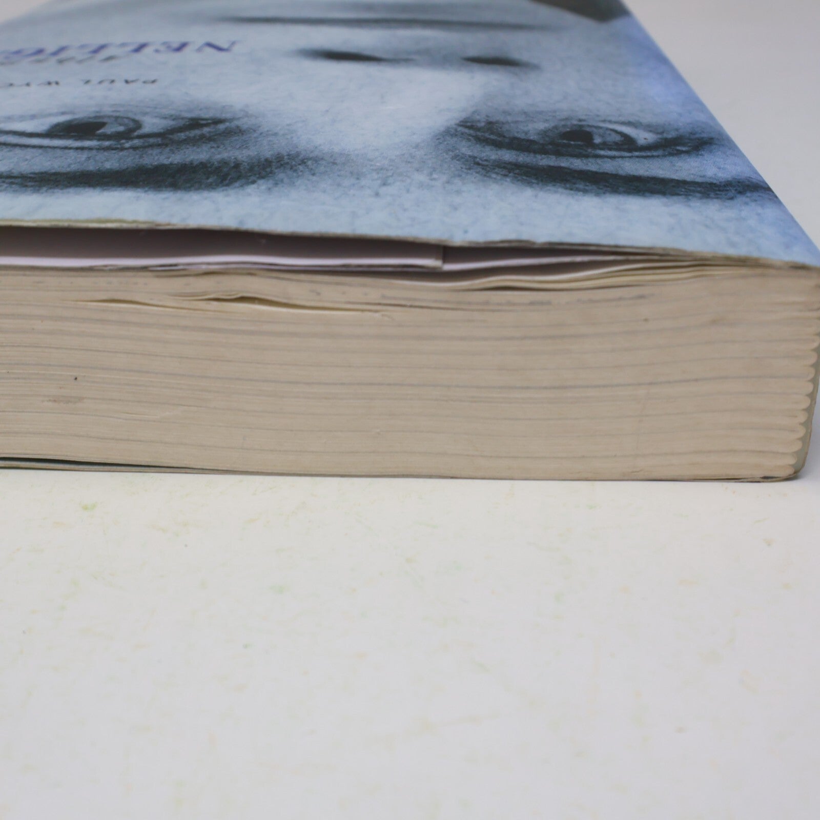 2002 Album Nelligan une Biographie en Images Paul Wyczynski Littérature Québec