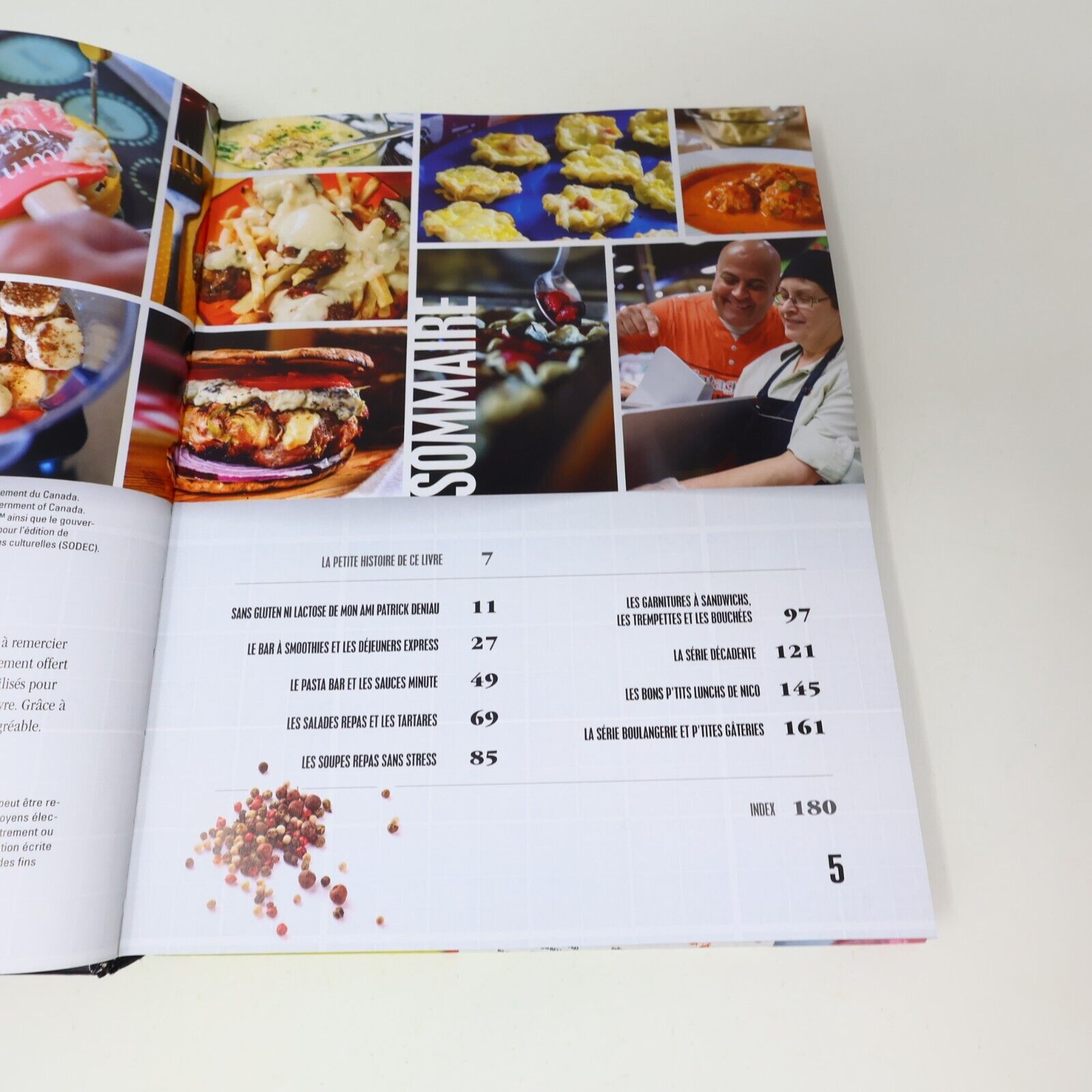 2015 Cuisine des Étudiants Nicolas Moreau Recettes Le Cuisinier Paresseux Livre