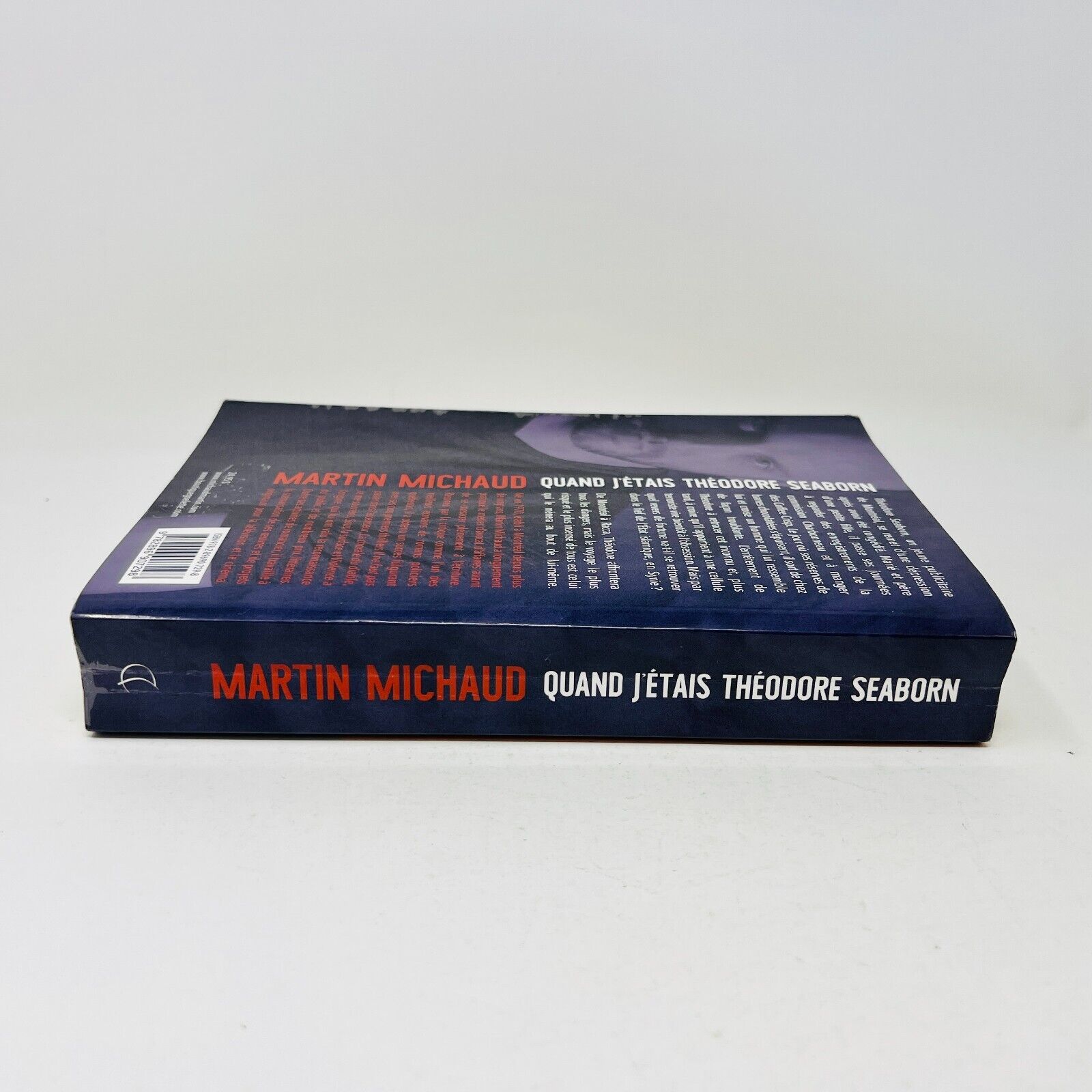 2015 Quand j'Étais Théodore Seaborn de Martin Michaud Livre Goélette Thriller