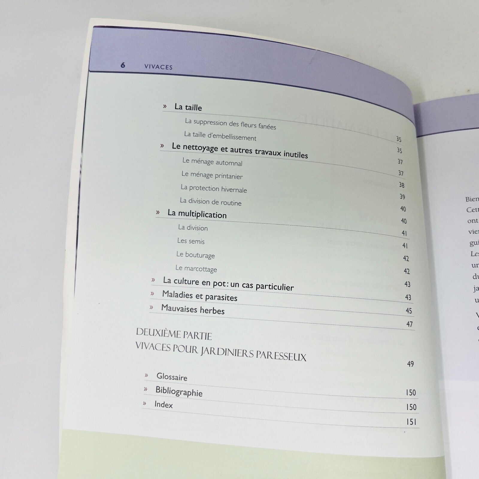 2007 Vivaces Les Idées du Jardinier Paresseux de Larry Hodgson Livre Broquet