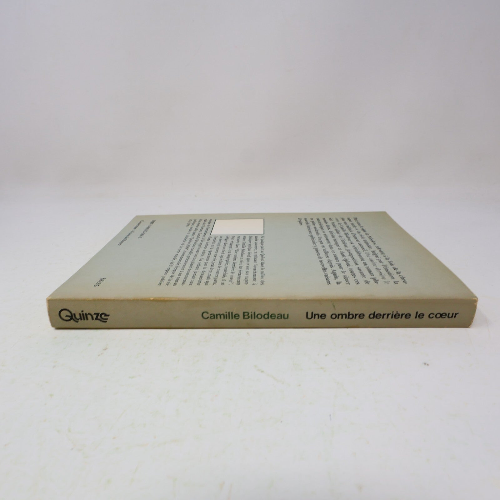 1979 Une Ombre Derrière le Cœur Roman-Pluriel Camille Bilodeau Contre-Culture PB