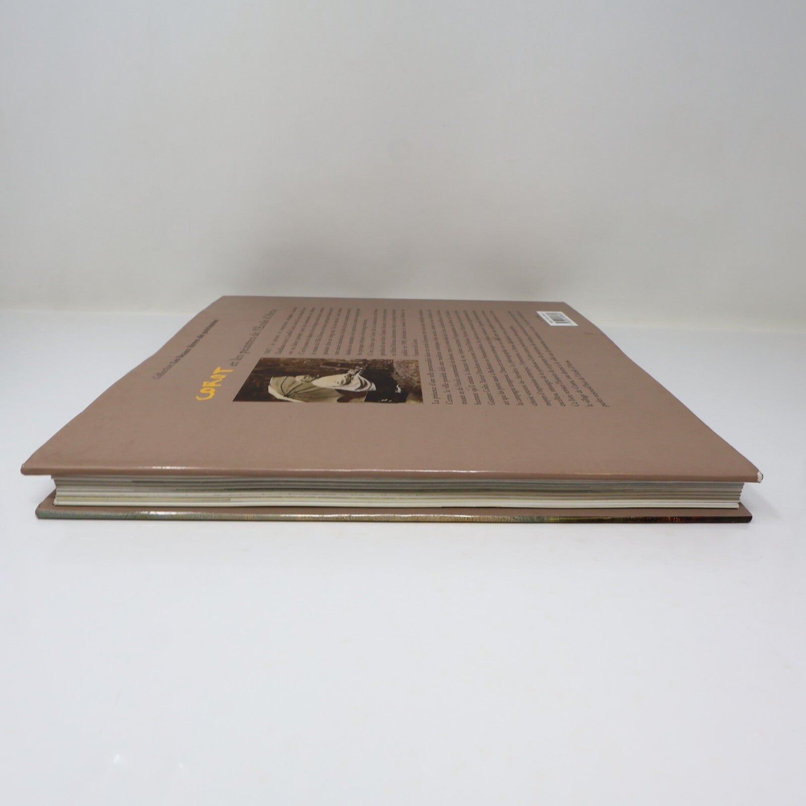 Corot et les Peintres de l'École d'Arras Dominique Horbez 2004 HC Français Arts
