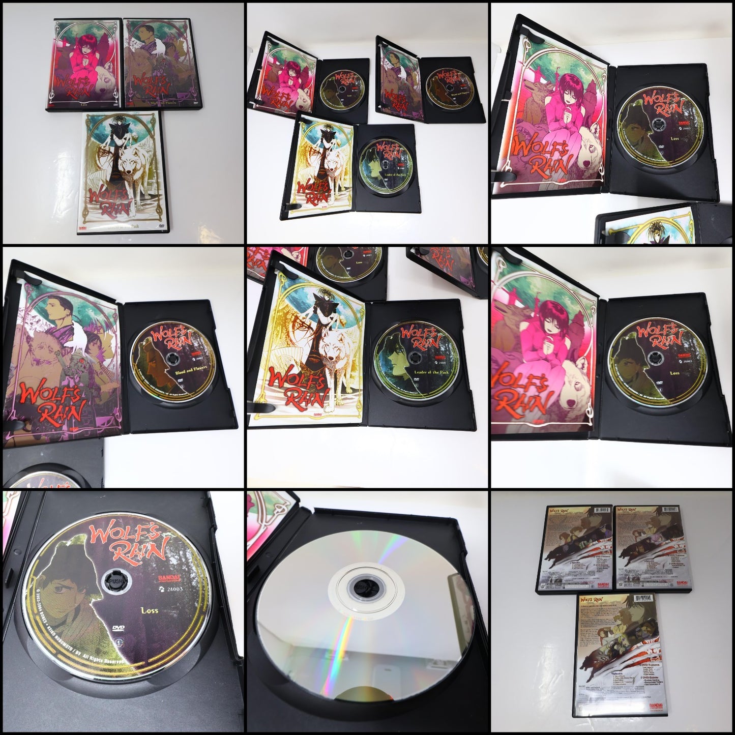 Wolf’s Rain Limited Edition Box Set DVD Anime Complete Series #1-7 Bandai NTSC