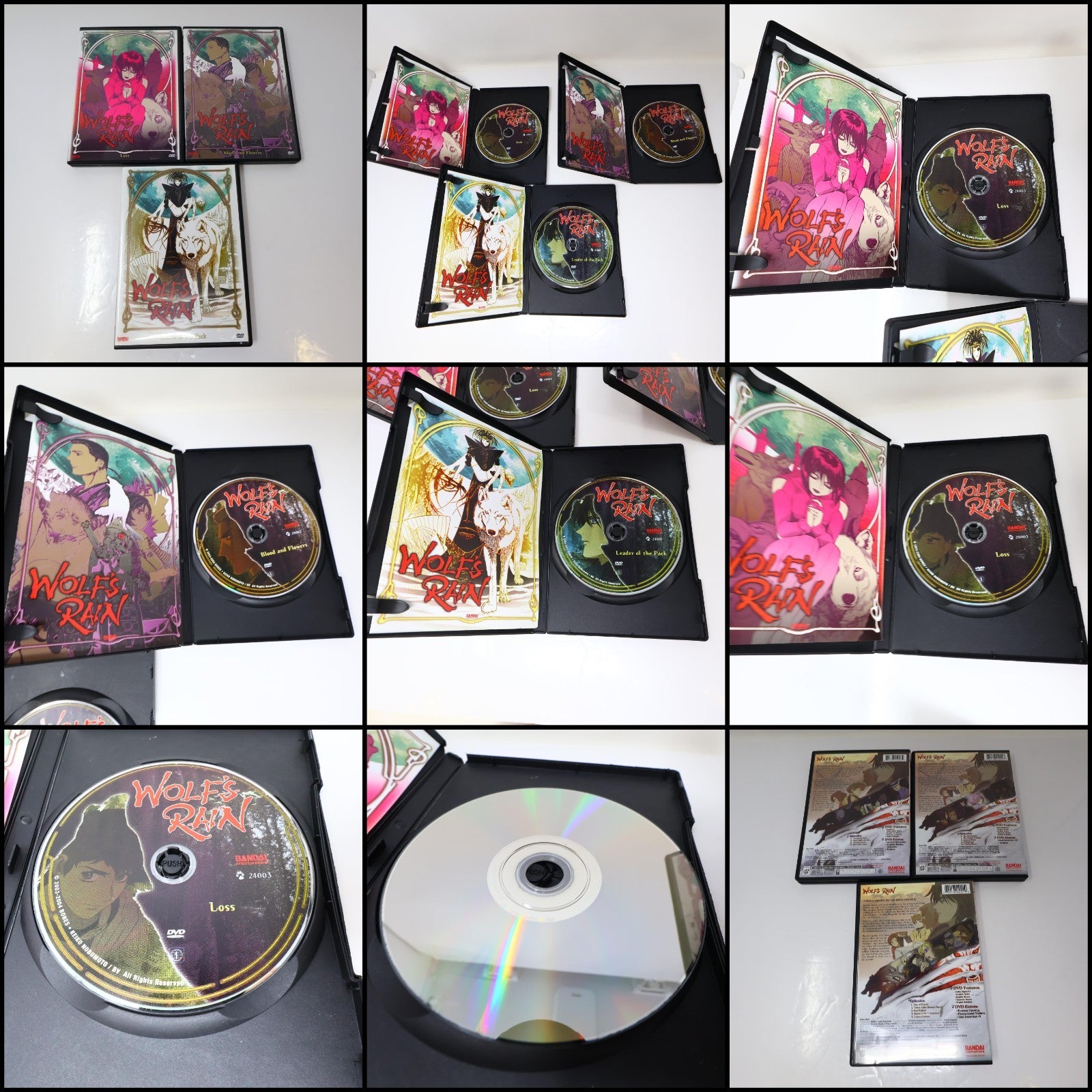 Wolf’s Rain Limited Edition Box Set DVD Anime Complete Series #1-7 Bandai NTSC