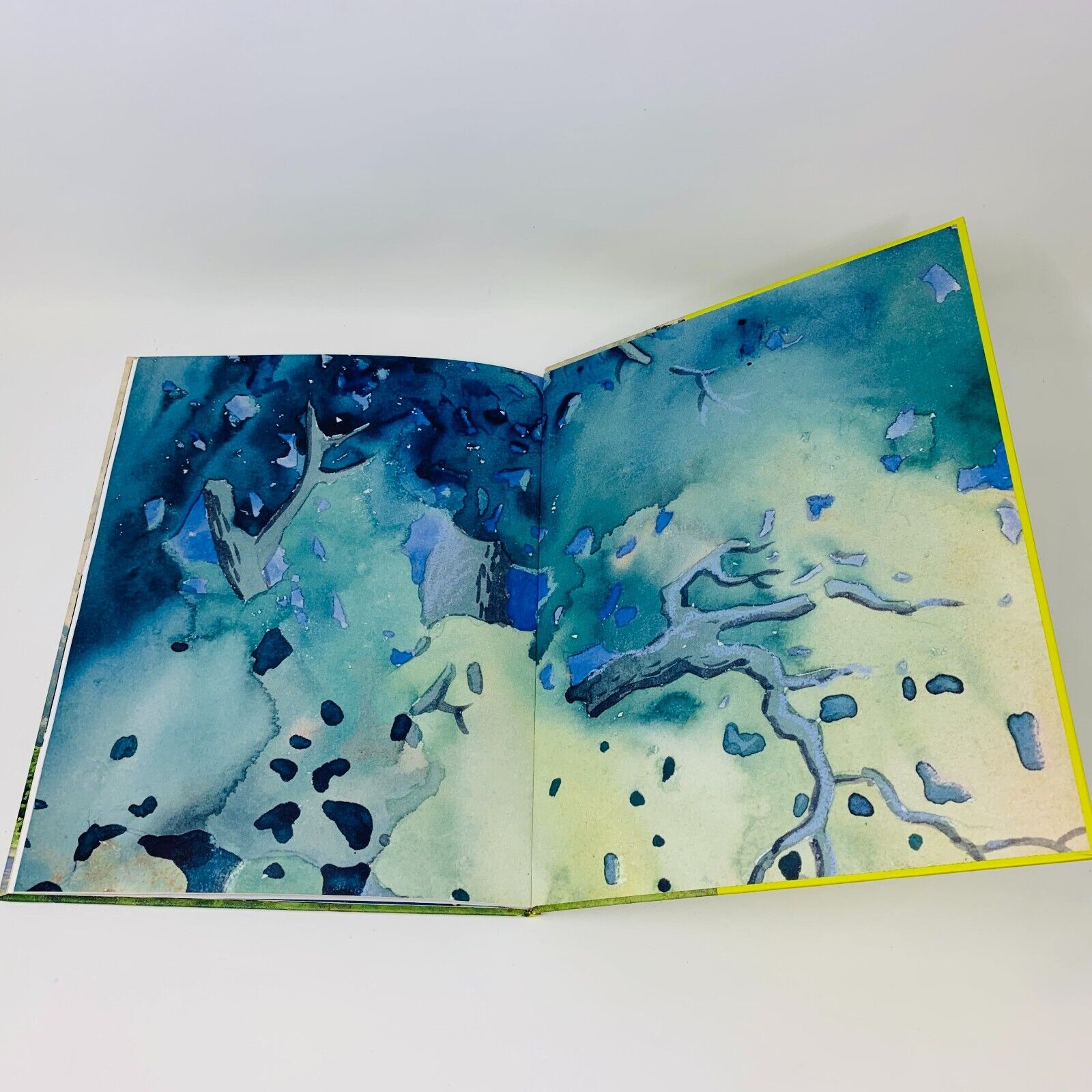 2002 L'Enfant dans les Arbres de Francine Ruel MNBAQ Illustré Marc-Aurèle Fortin