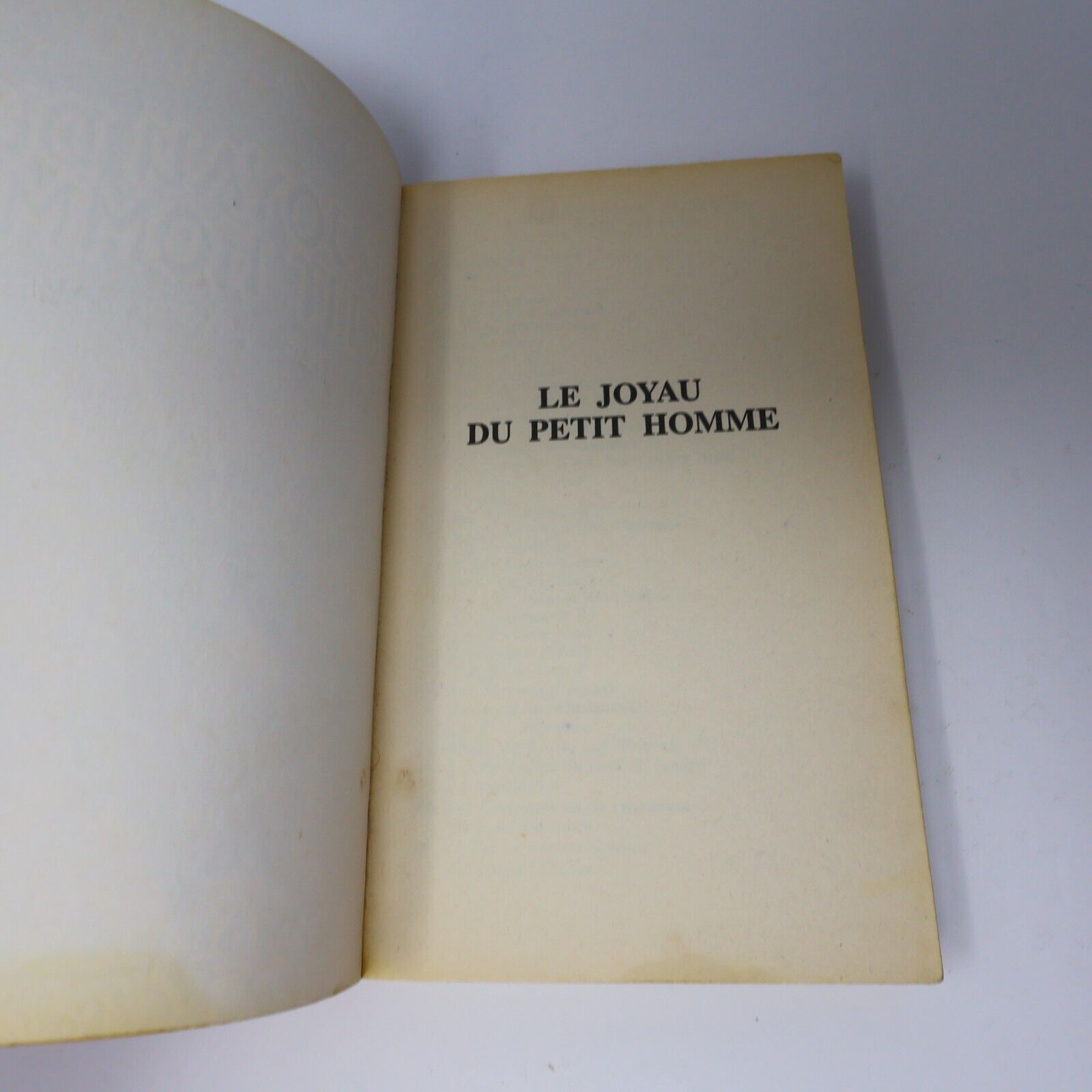 1996 Royaumes Oubliés #17 Le Joyau du Petit Homme La Trilogie du Val Bise Livre