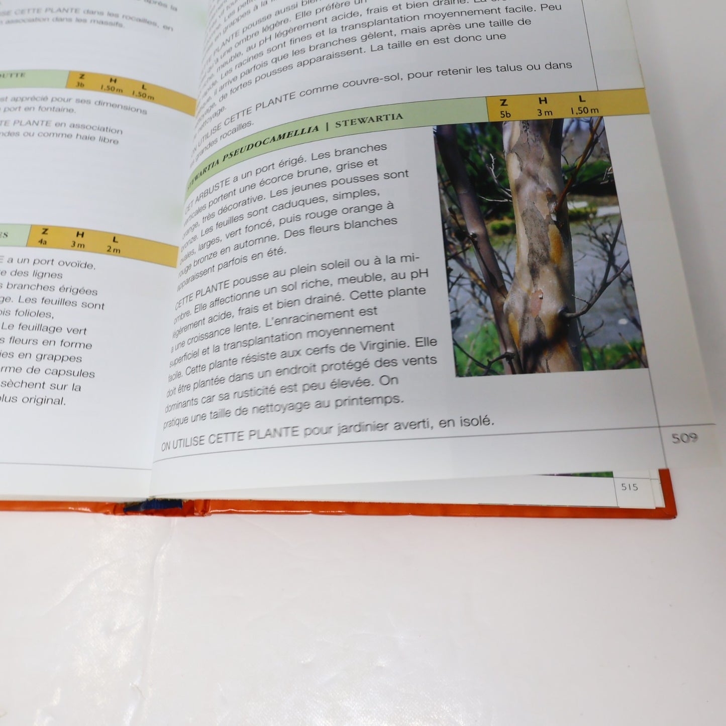 Guide des Arbres,Arbustes et Conifères pour le Québec Bertrand Dumont 2005 HC