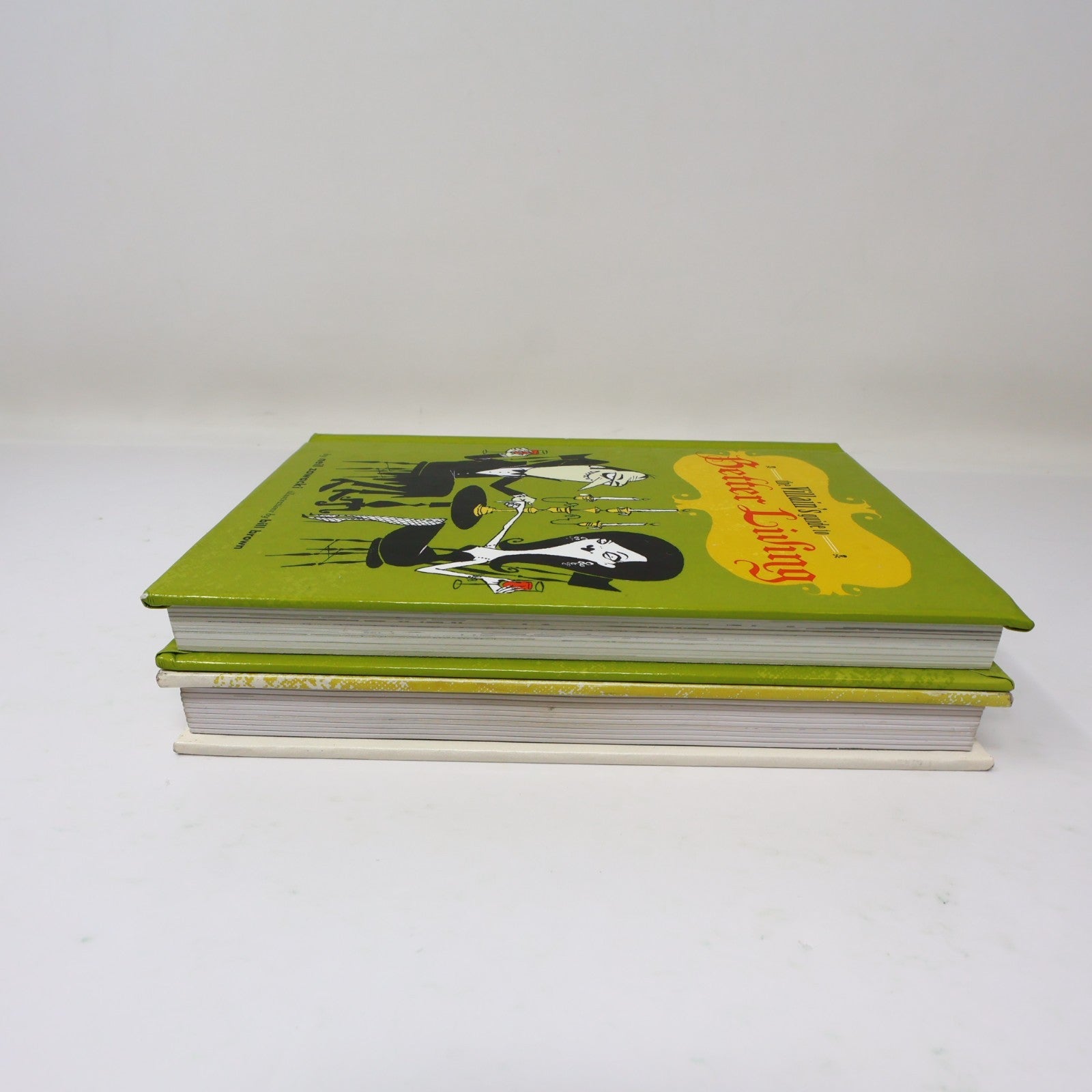 The Villain's Guide to Better Living/How to Be a Villain 2 Books Lot Zawacki HC
