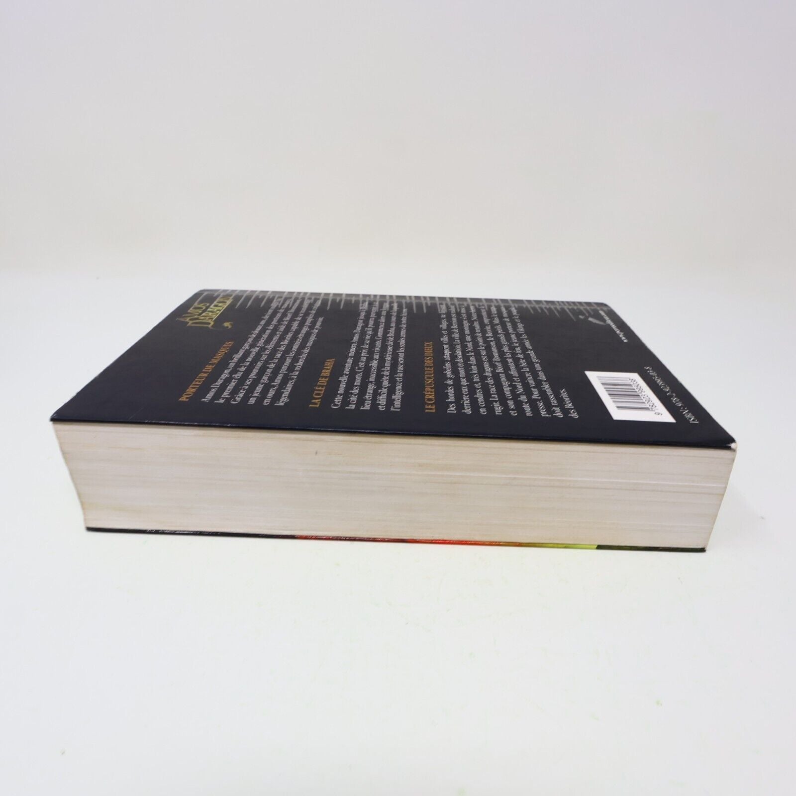 Amos Daragon Trilogie #1 Omnibus Fantasy Ados Bryan Perro 2012 Français Livre PB