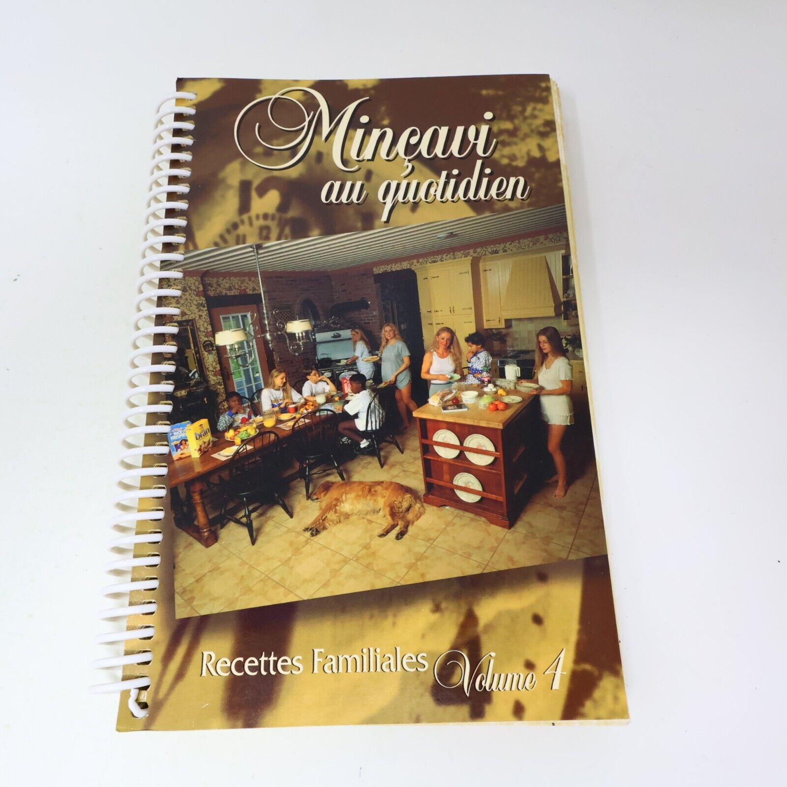 Lot 5 Livres Recettes Cuisine Minçavi #1-5 de Lyne Martineau Français 90s French