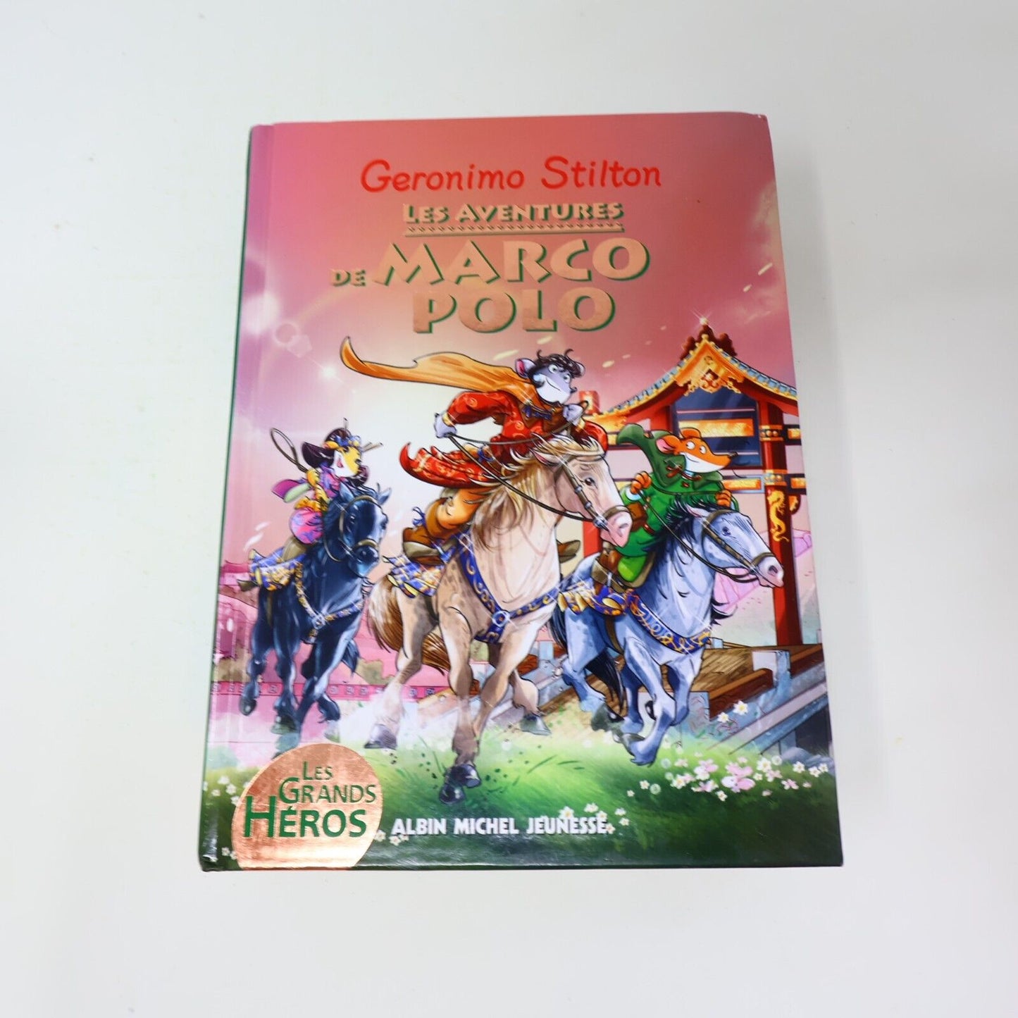 15x Geronimo Stilton Voyage dans le Temps Royaume des Rêves Lot Livres Français