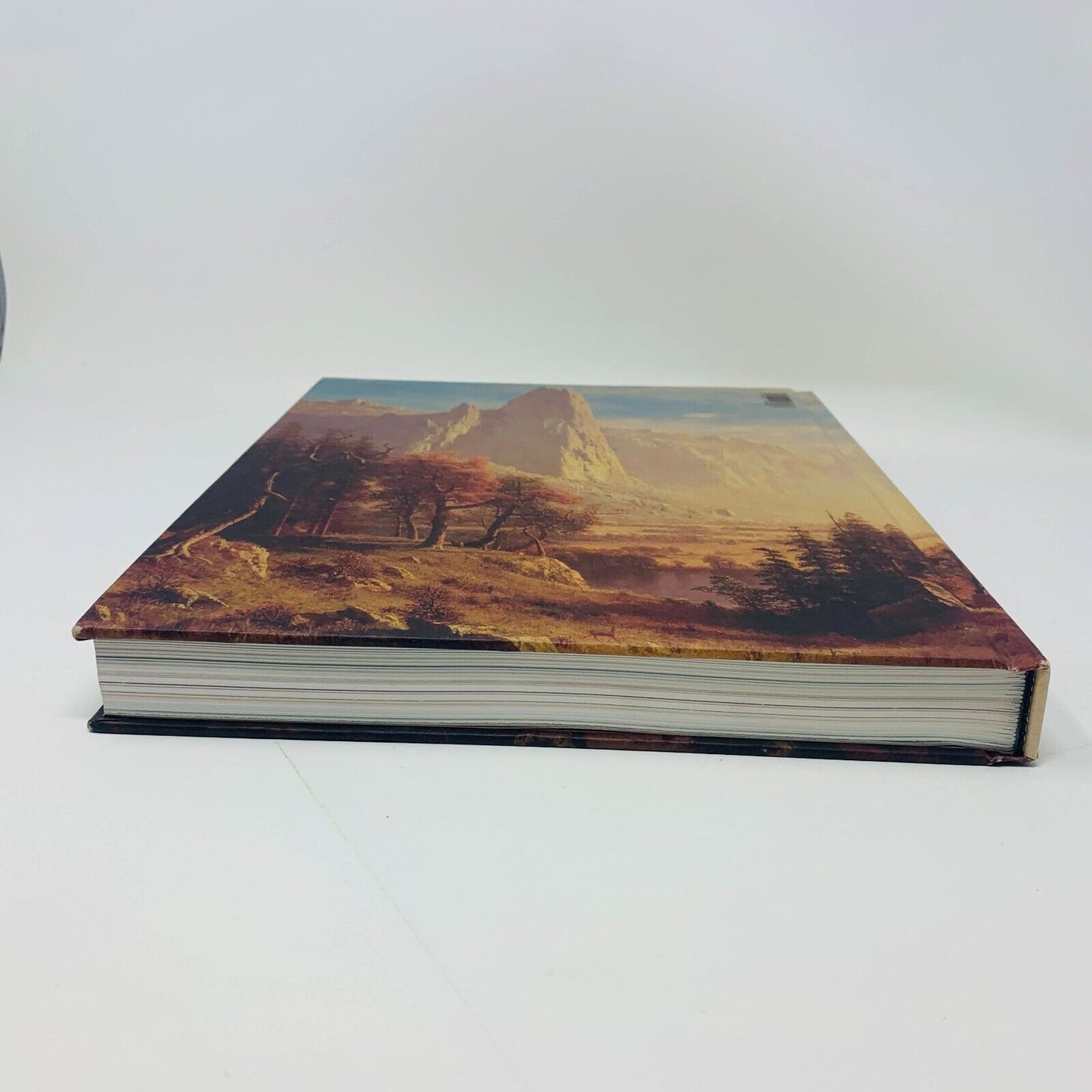 2009 Grandeur Nature Livre Peintures Photographies Paysages Américains Canadiens
