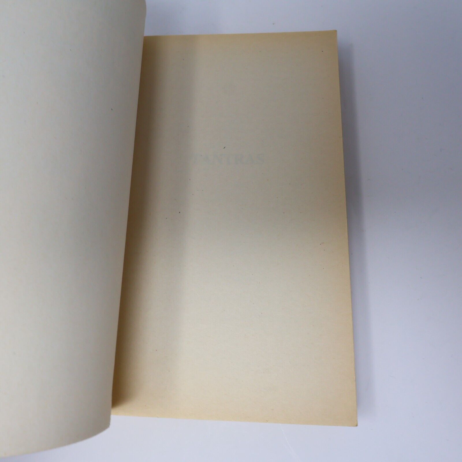 1994 Tantras Royaumes Oubliés #2 de Richard Awlinson La Trilogie des Avatars PB