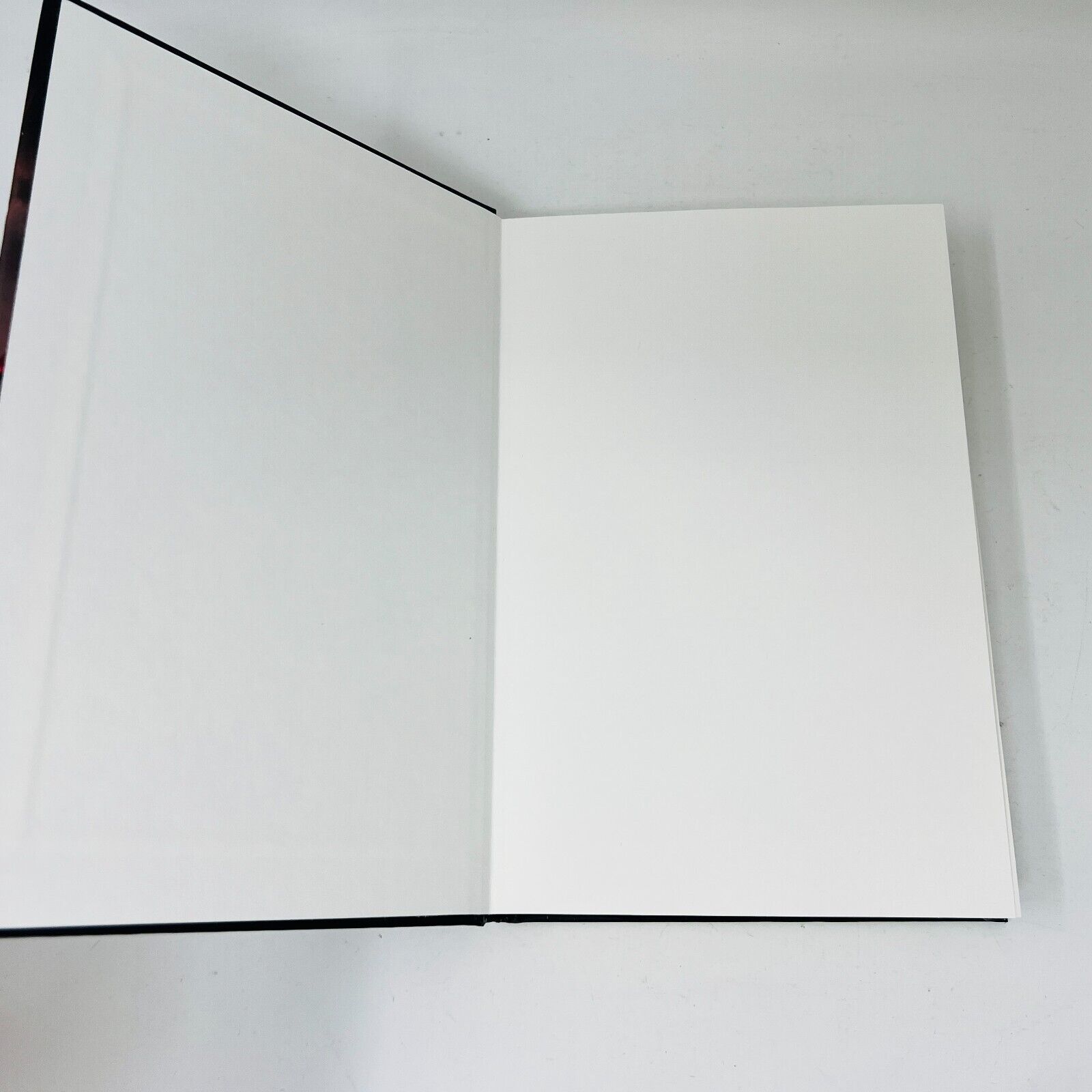 2019 Darklight Book 2 Darkthirst Hardcover by Bella Forrest Vampires Occult