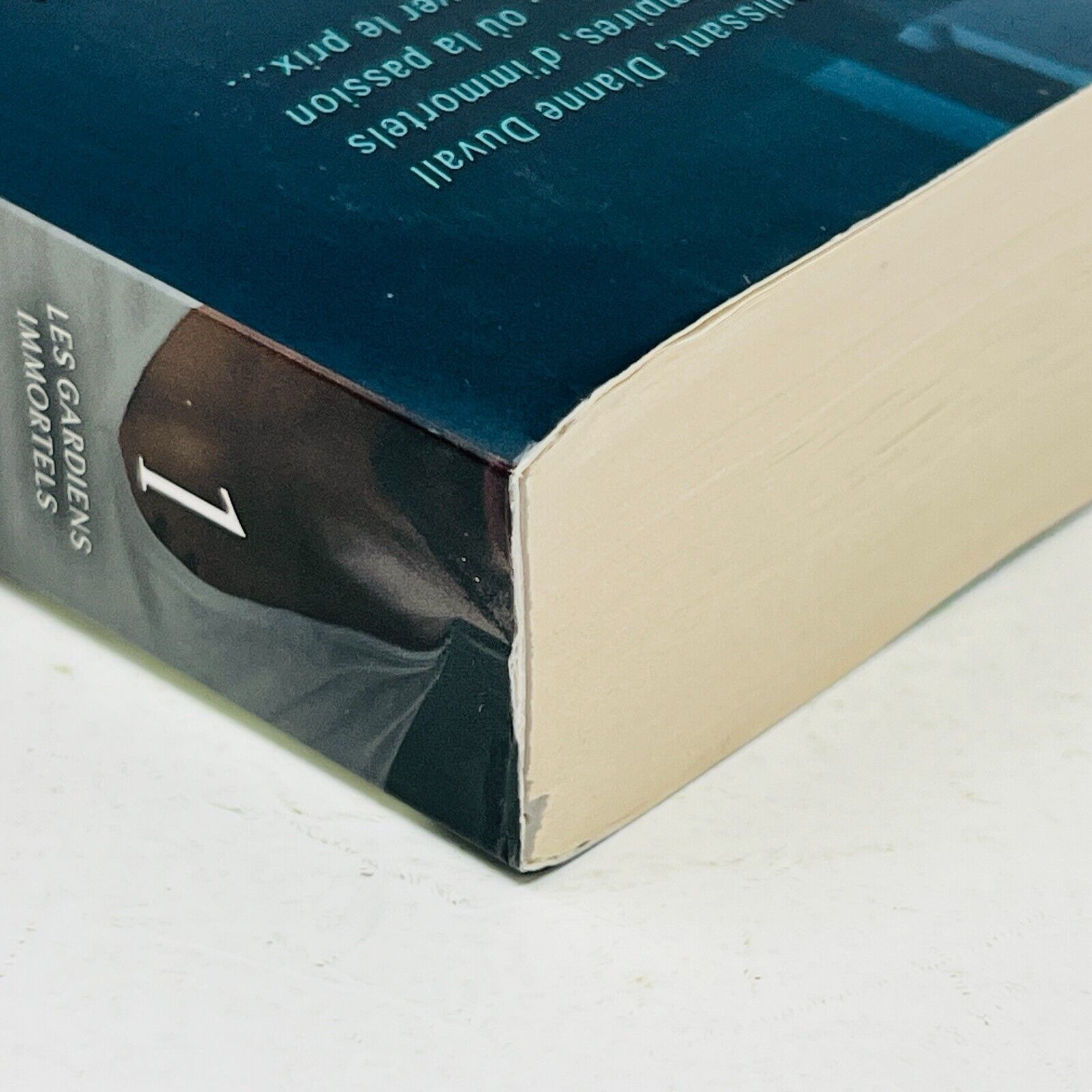 À l'Aube des Ténèbres Les Gardiens Immortels Tome 1 de Dianne Duval Français Ada