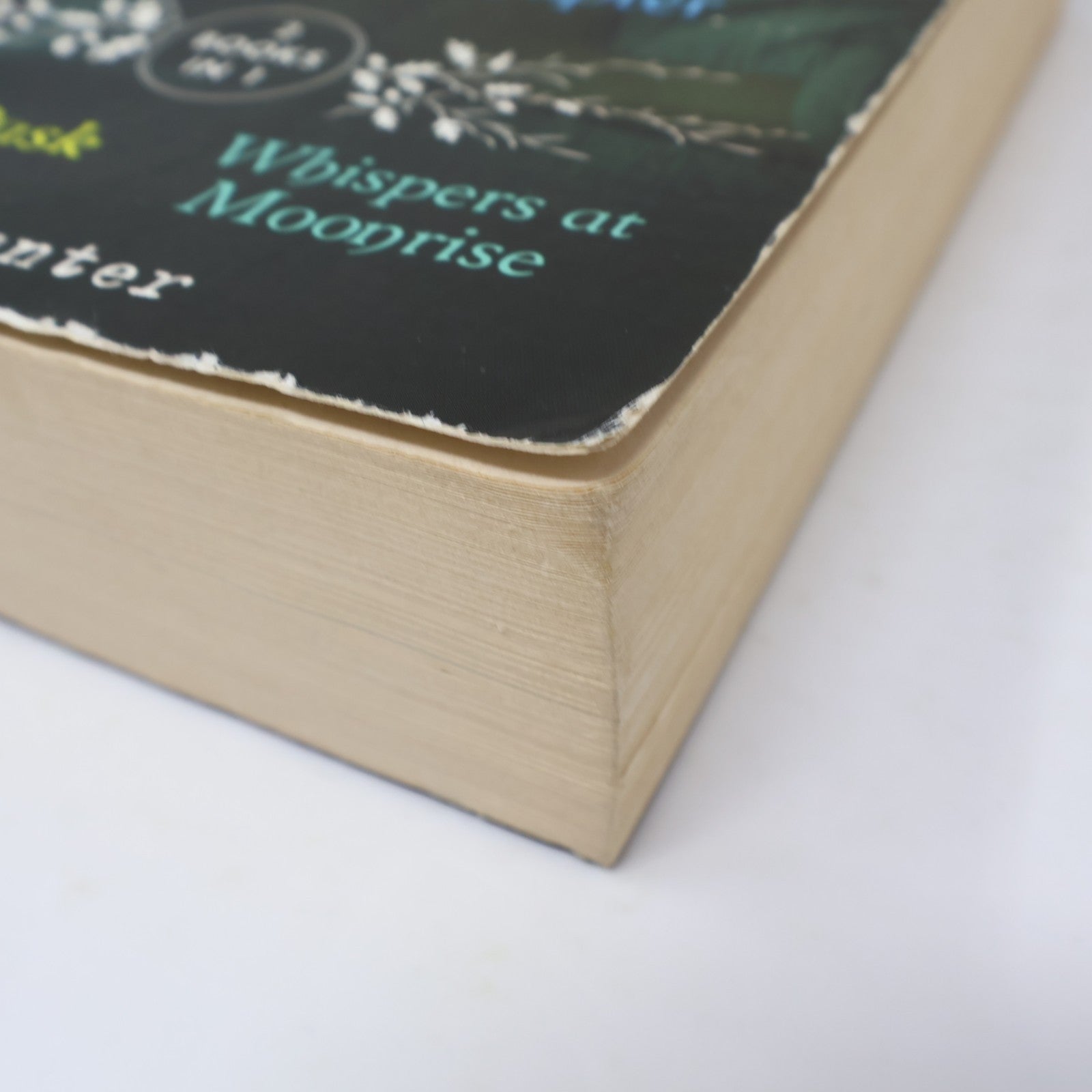 Taken At Dusk/Whispers At Moonrise C. C. Hunter Shadow Falls the Next Chapter PB