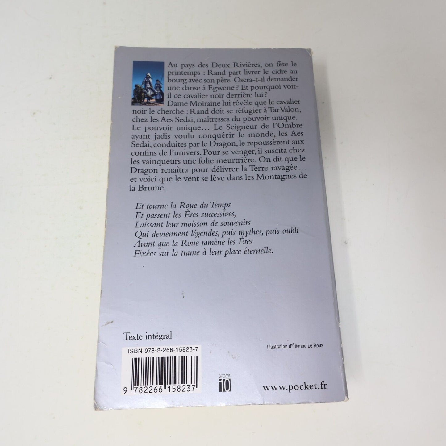 Lot 9 Livres La Roue du Temps Robert Jordan Pocket/France Loisirs Book Français