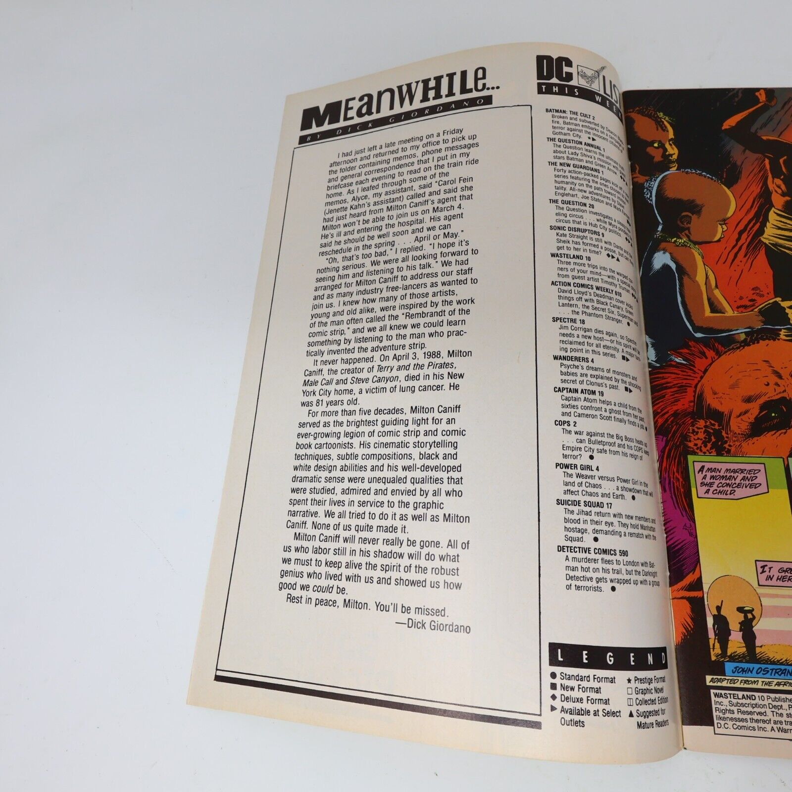 Lot 2 Comics Wasteland #6, 10 Del Close/John Ostrander/David Lloyd DC 1980s